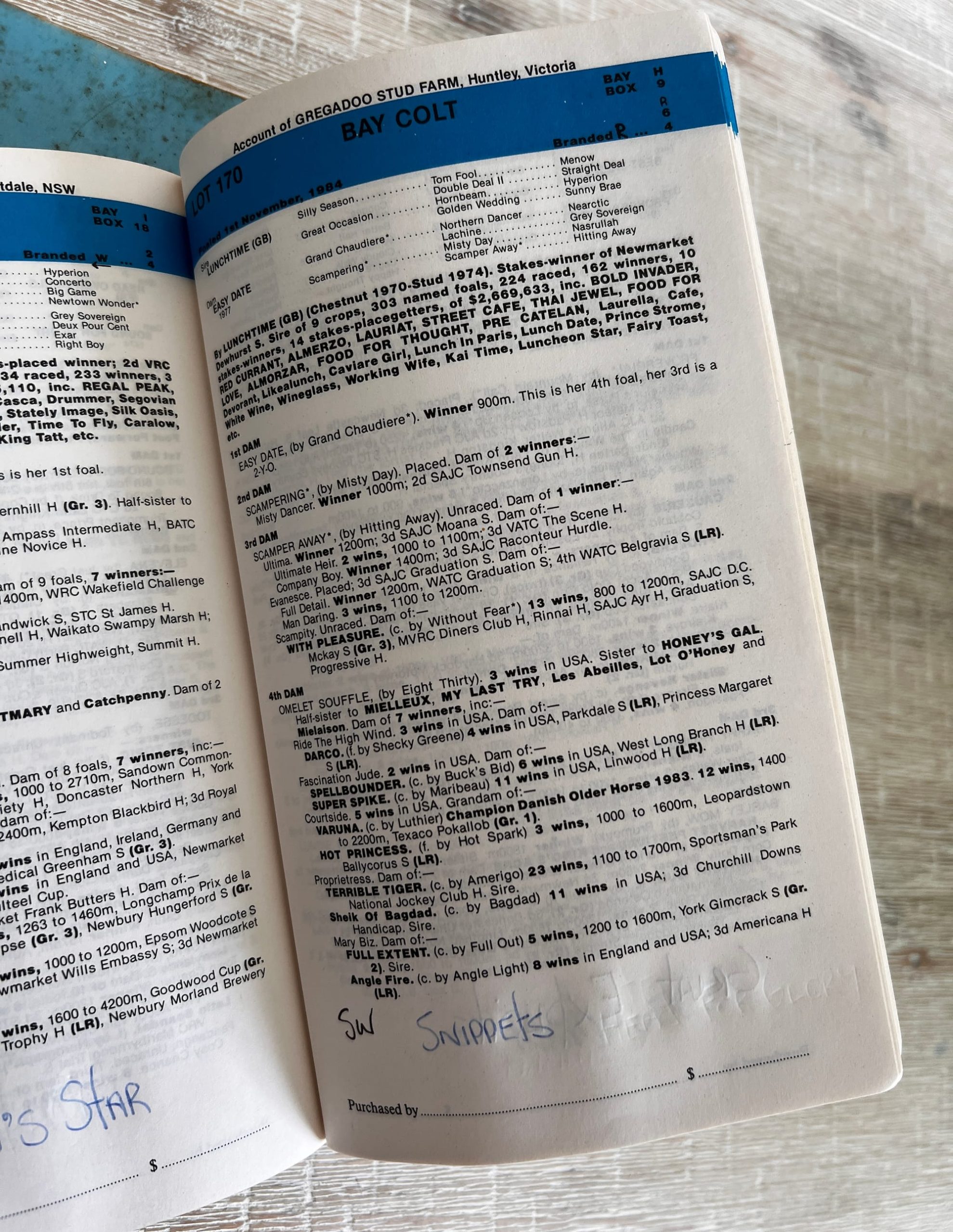 Magic Millions catalogue