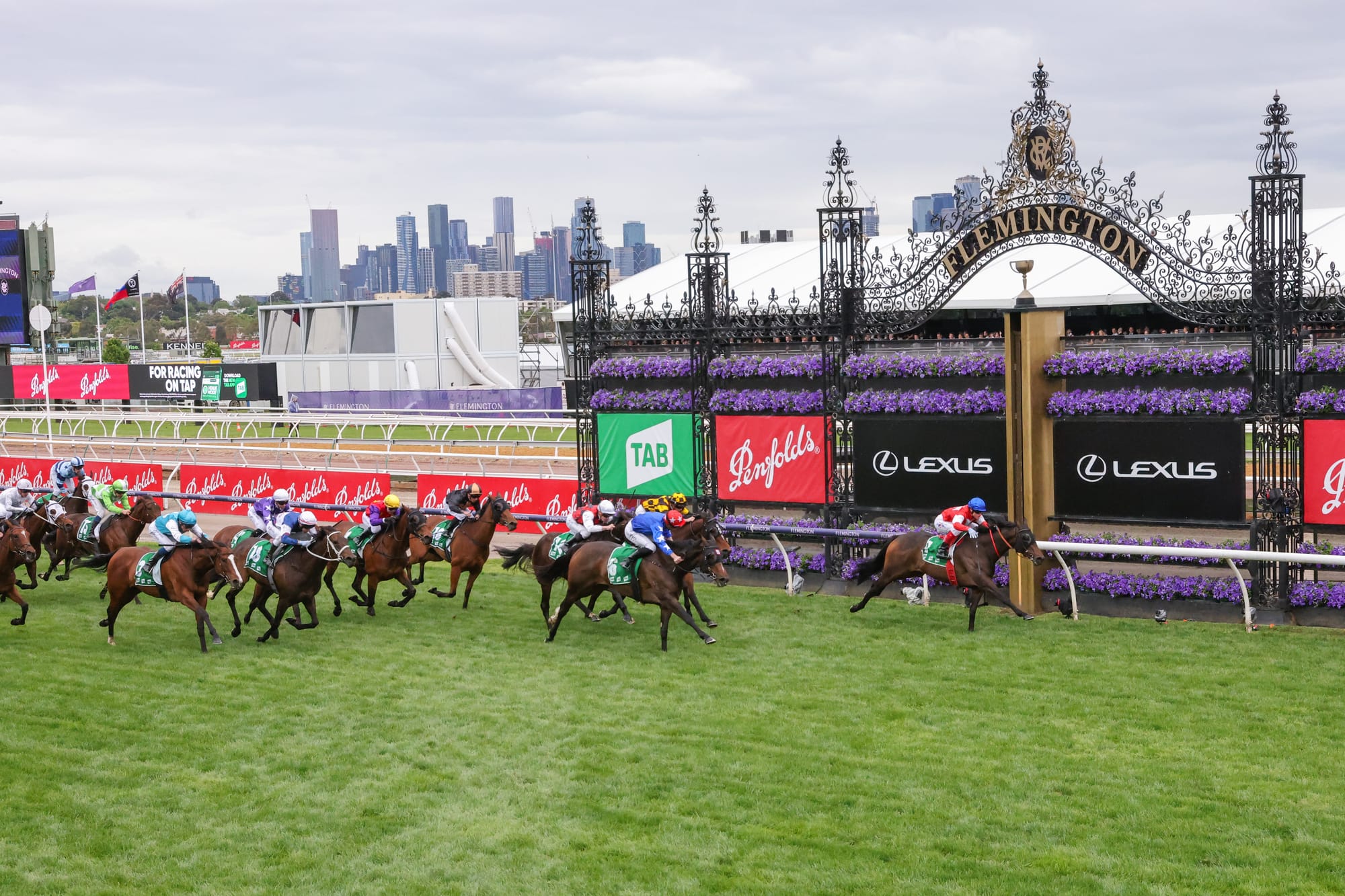 Icebath wins the Empire Rose Stakes at Flemington.