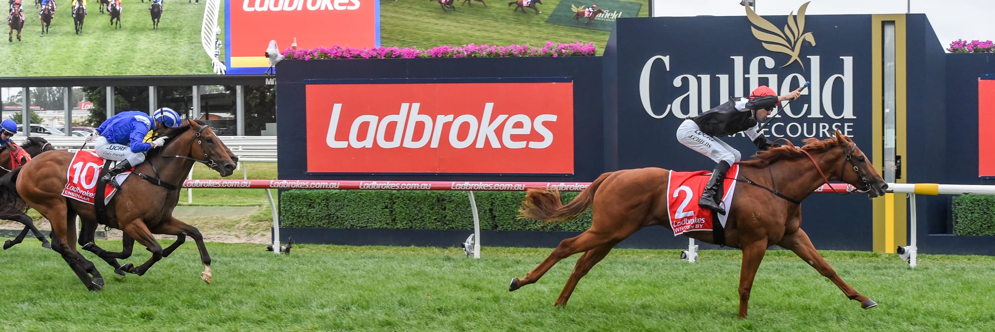 Written By wins the 2018 Blue Diamond Stakes.