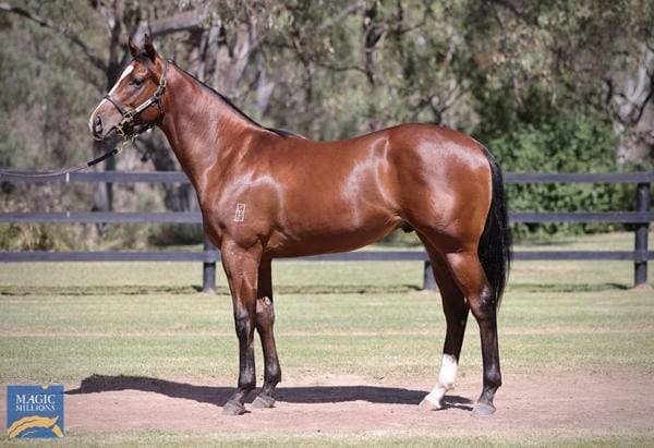 Coleman as a yearling.