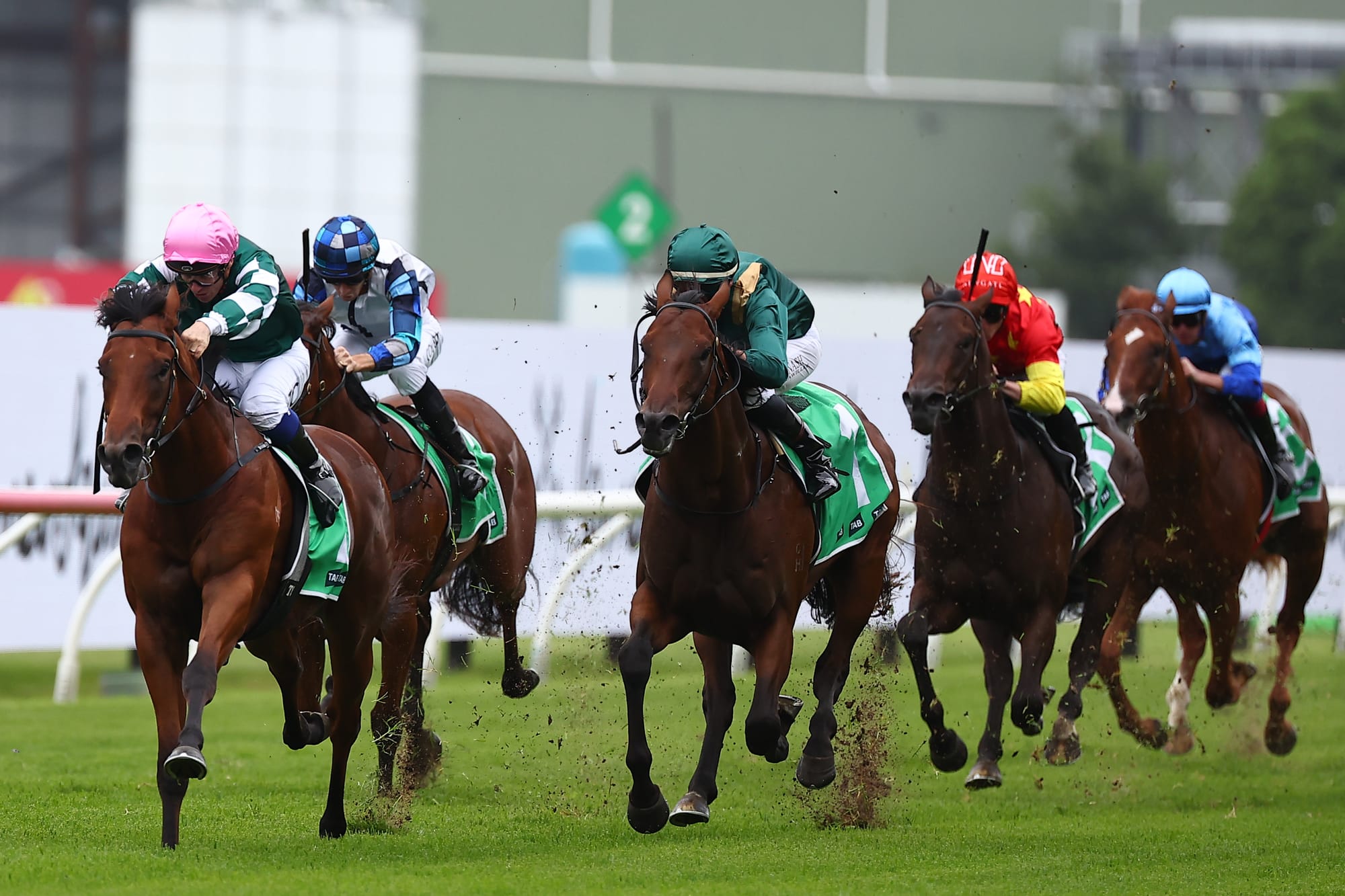 Silver Slipper winner Straight Charge.
