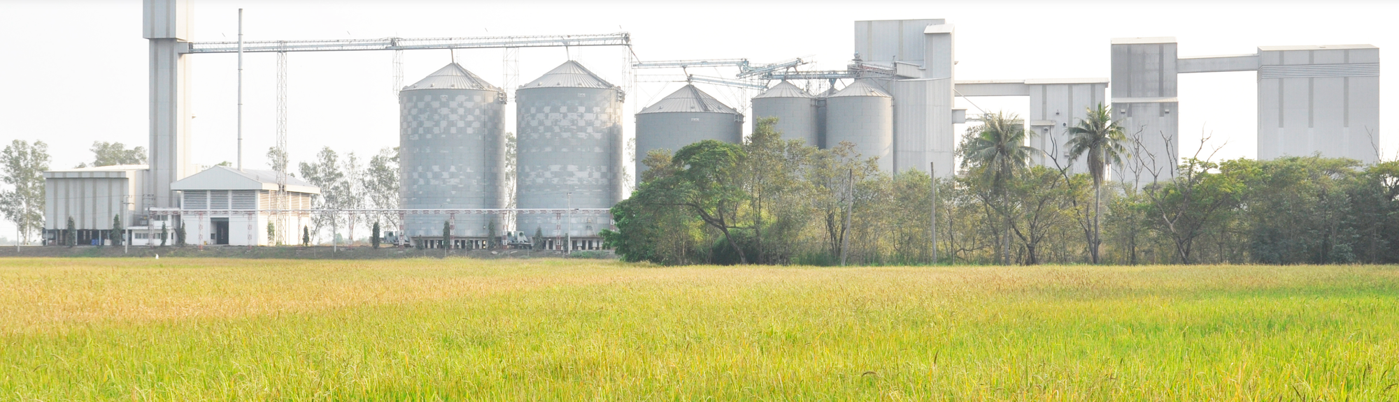 Feed storage silos.