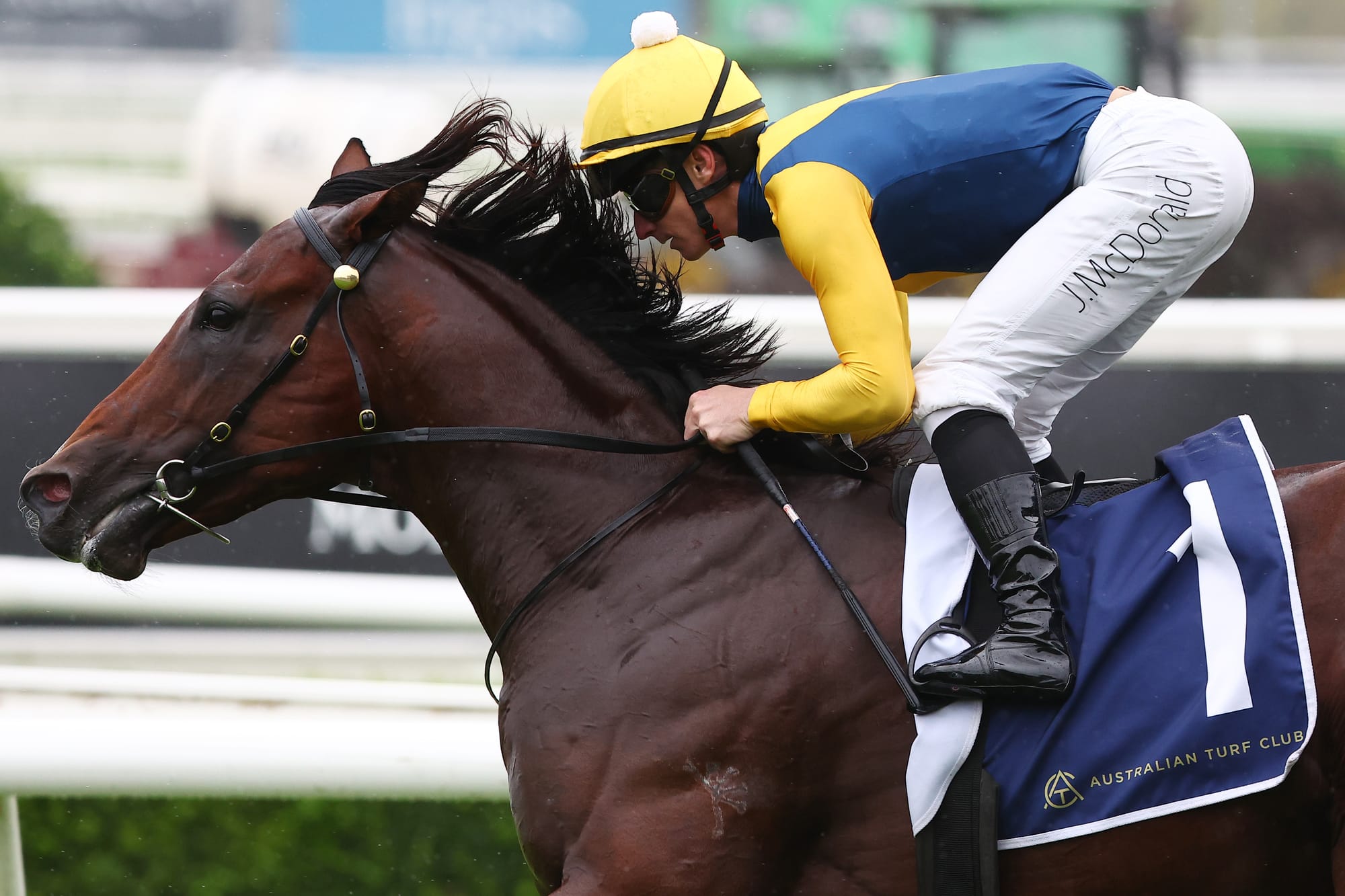 Storm Boy wins the Skyline Stakes.