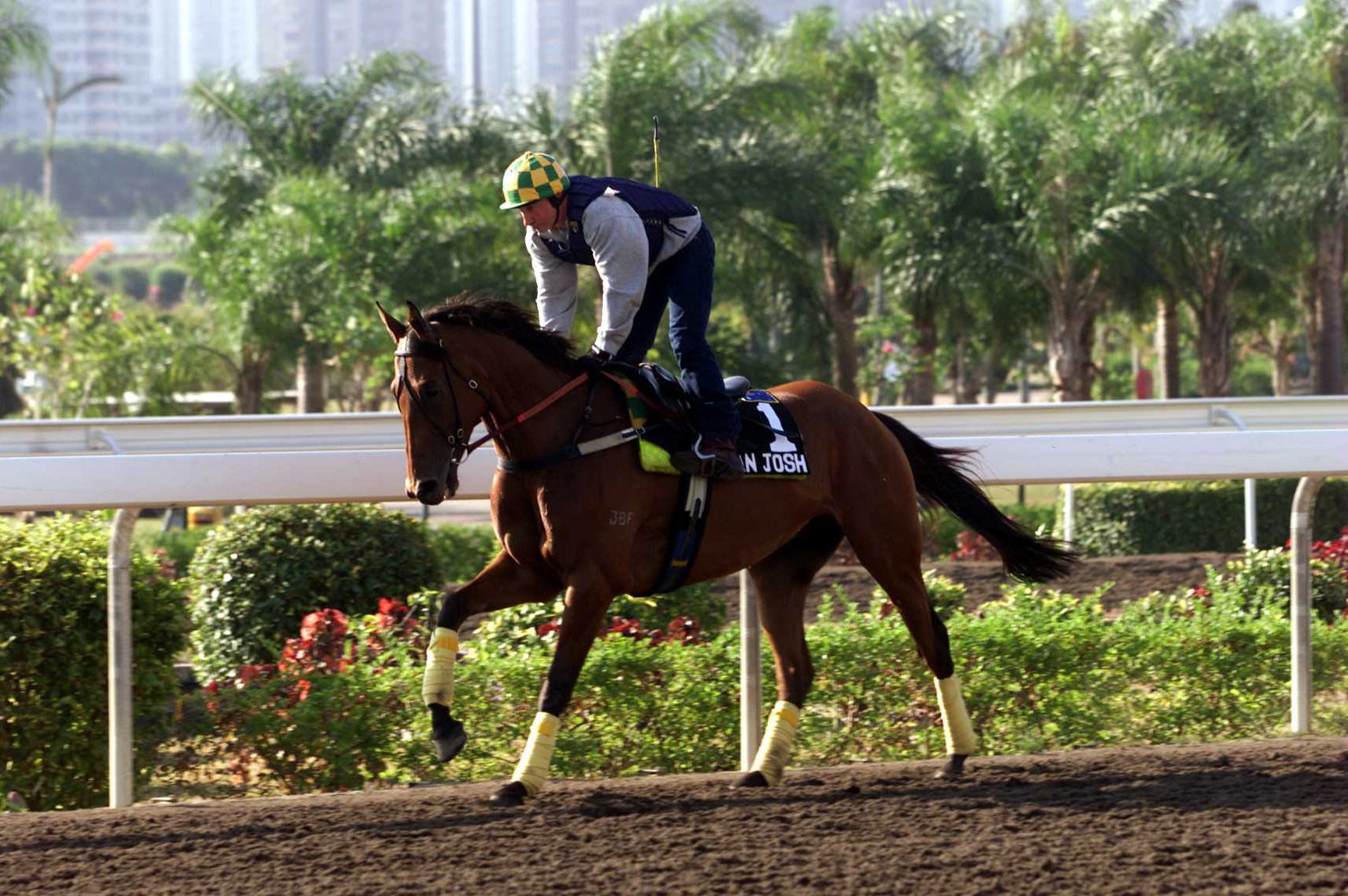 Joe Agresta on Rogan Josh in Hong Kong.