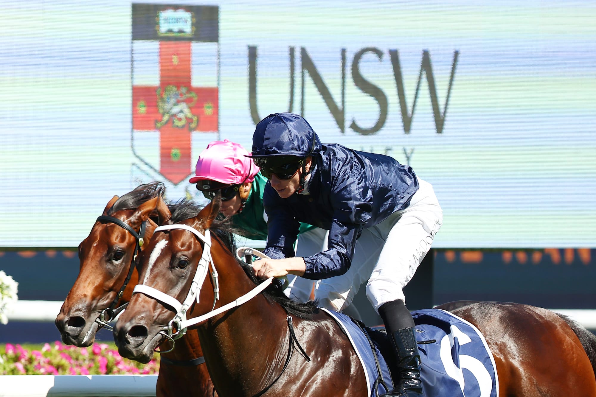 Switzerland wins the Todman Stakes