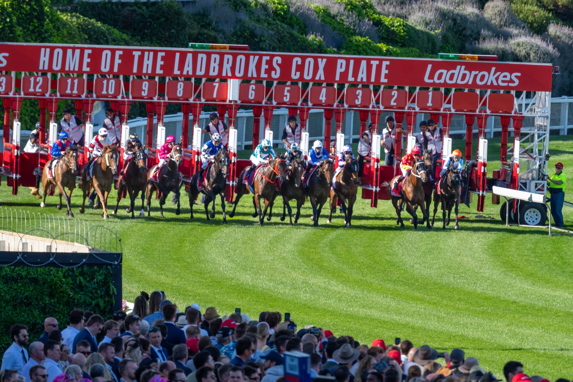 Entain 2023 results.