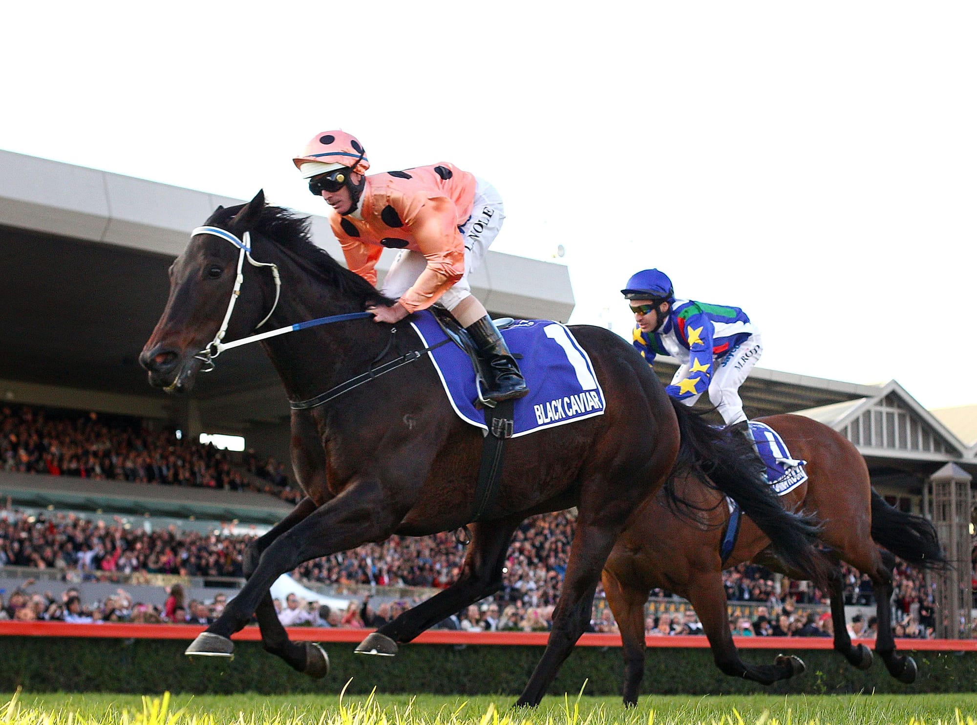 Black Caviar