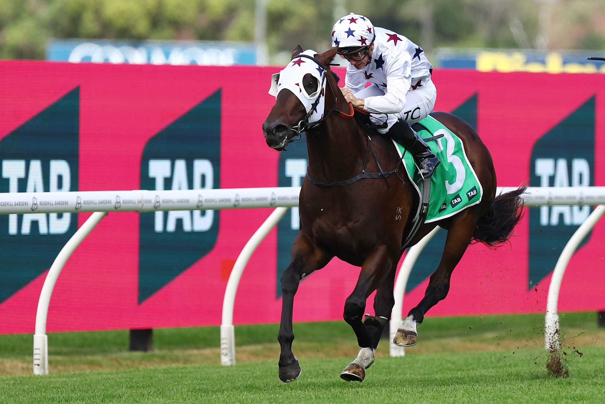 Pago Pago winner Dublin Down.