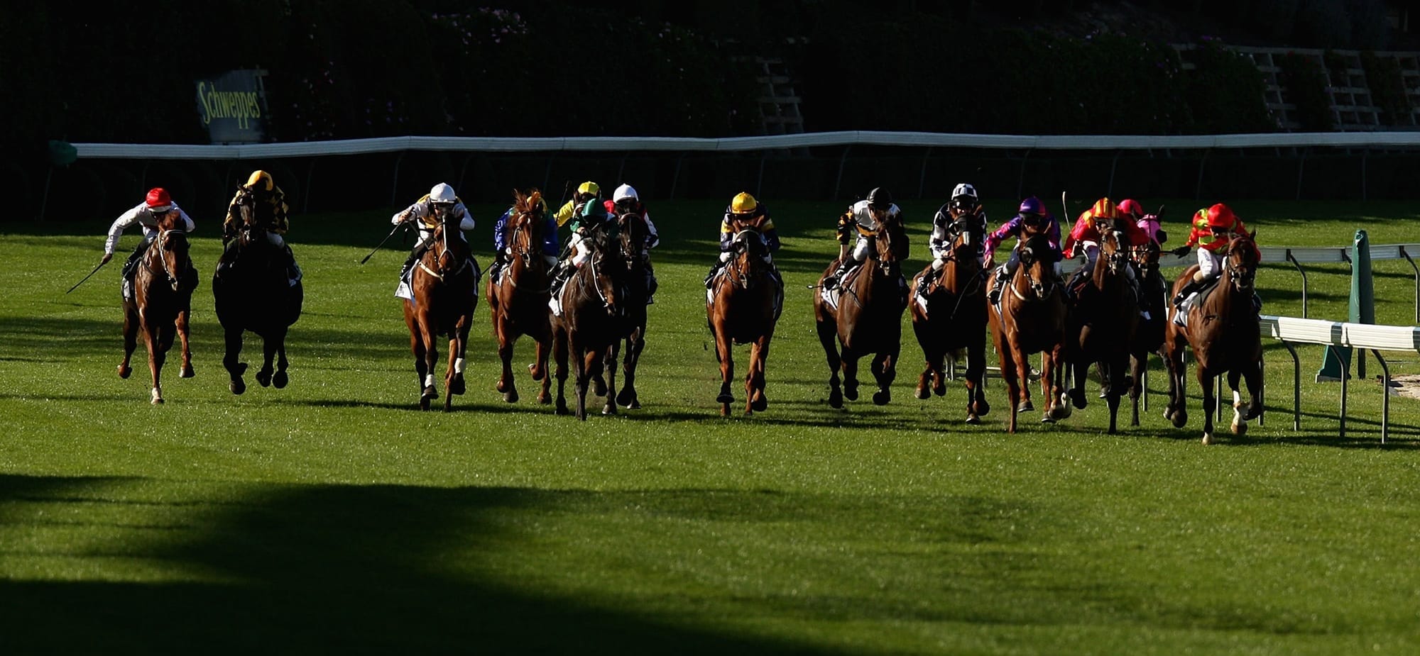 Manikato, Moir on the move in Moonee Valley spring shake-up – The Straight