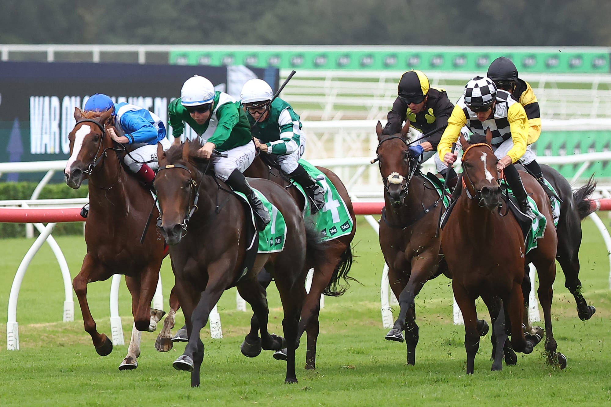 Manaal winning the Sweet Embrace Stakes.