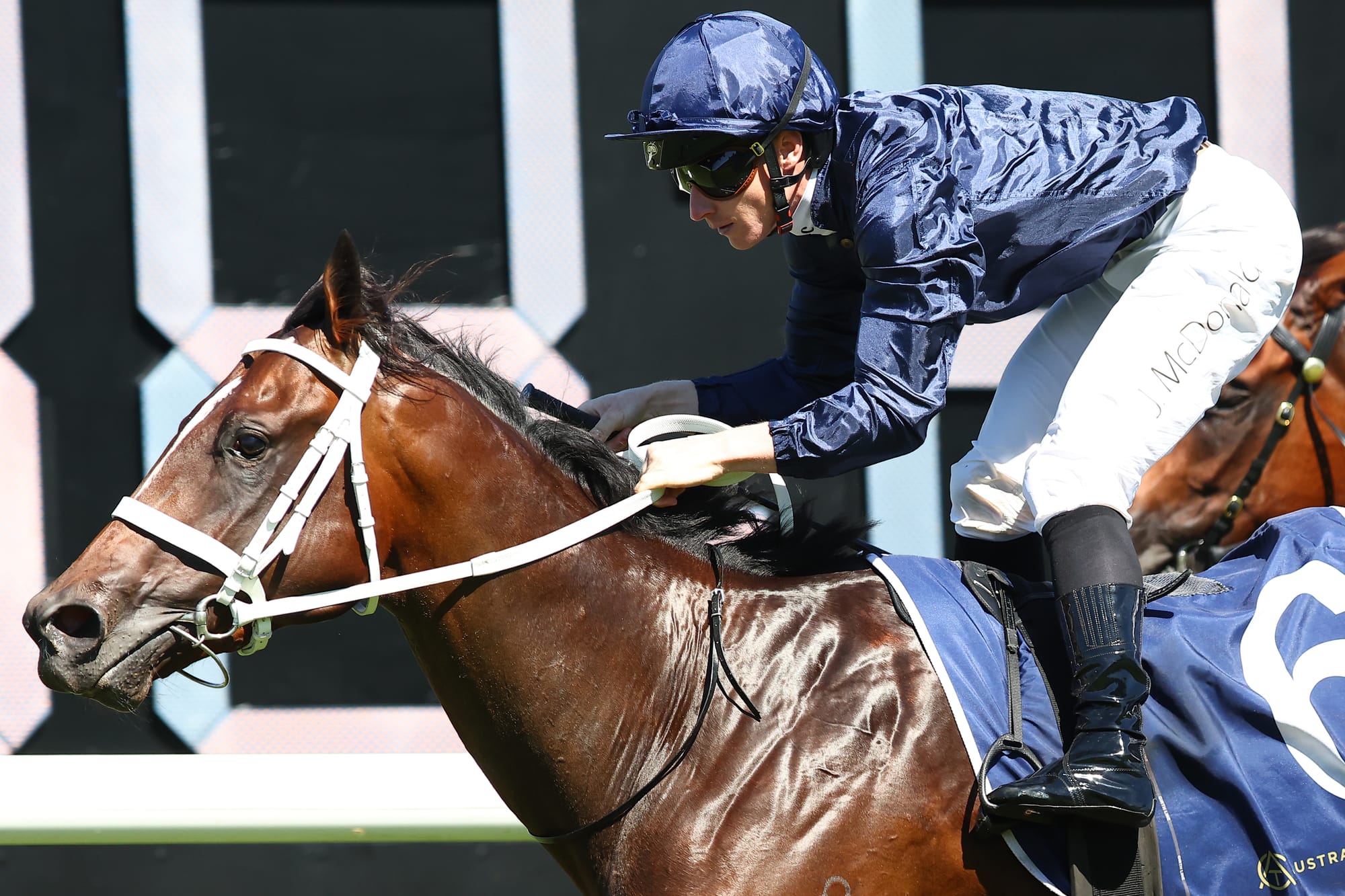 Golden Slipper contender Switzerland.