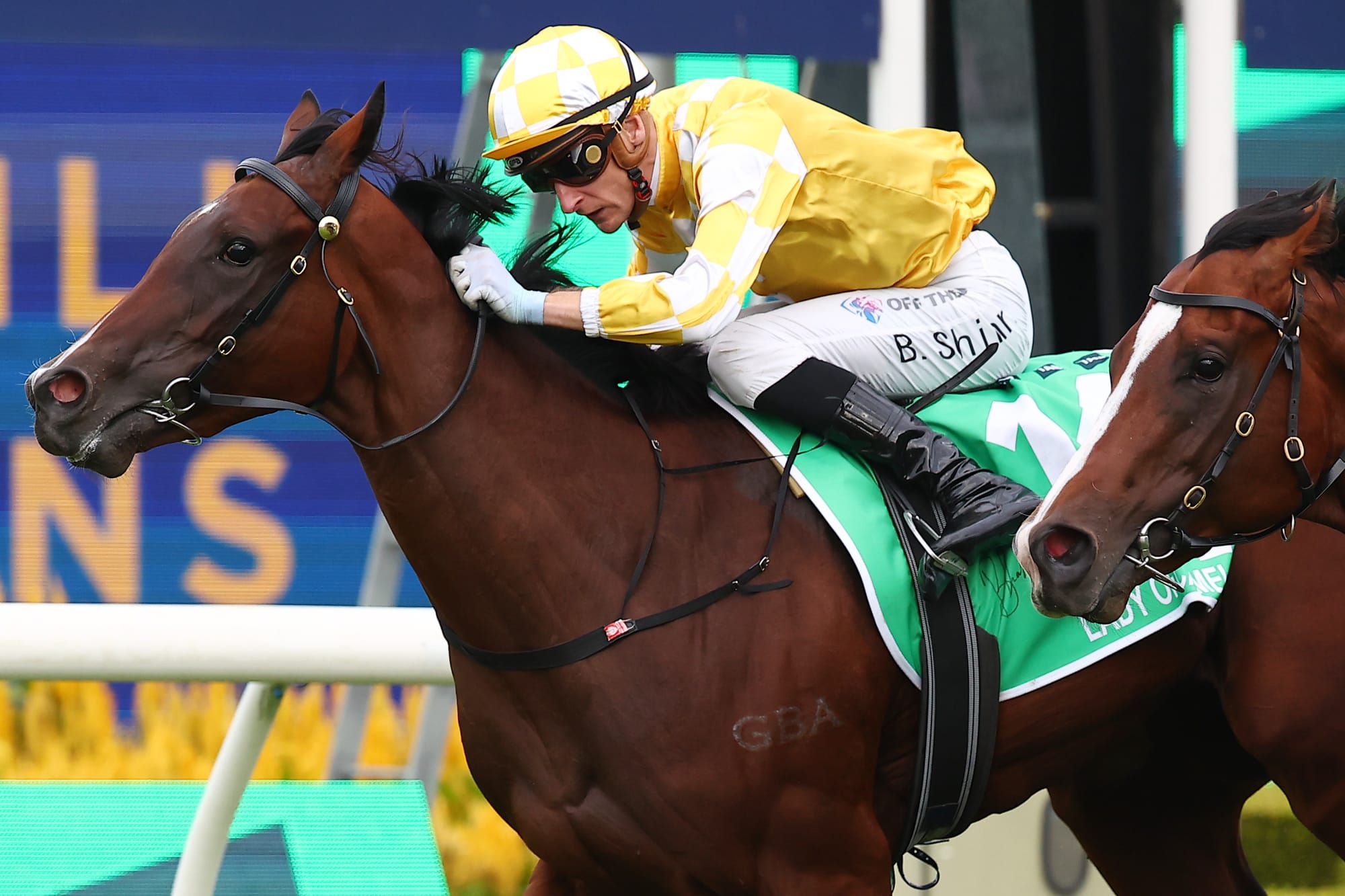 Happy Saturday Racing Tracked - The Saturday Racing Review – The Straight