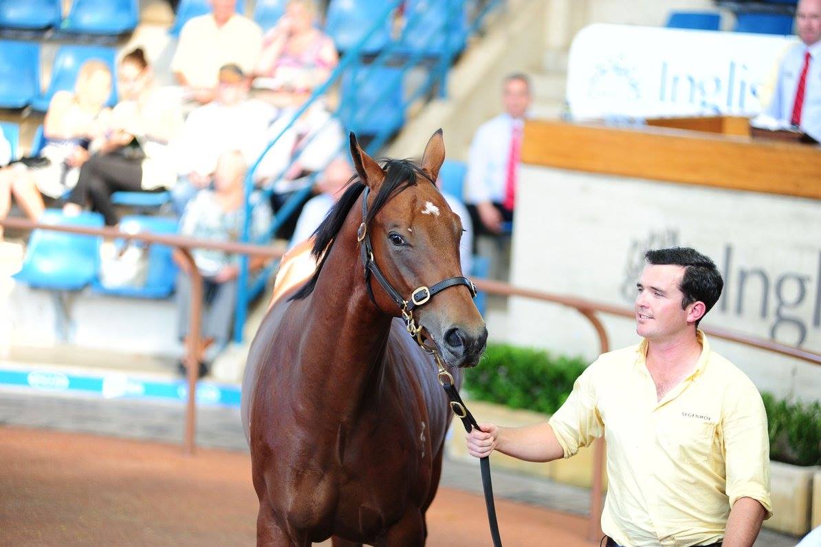 The half-brother to Winx 