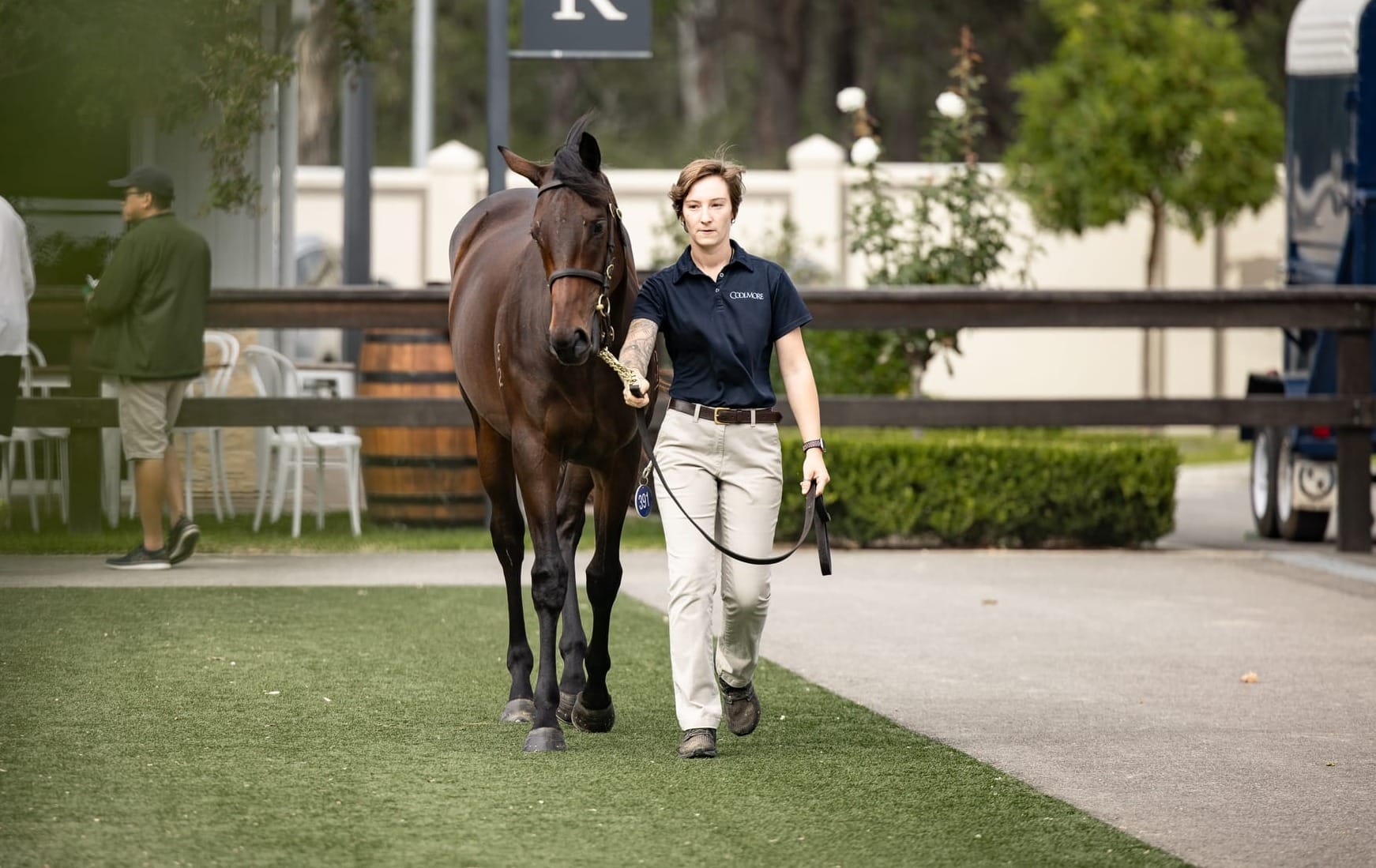 The Pierro filly out of champion racemare Winx
