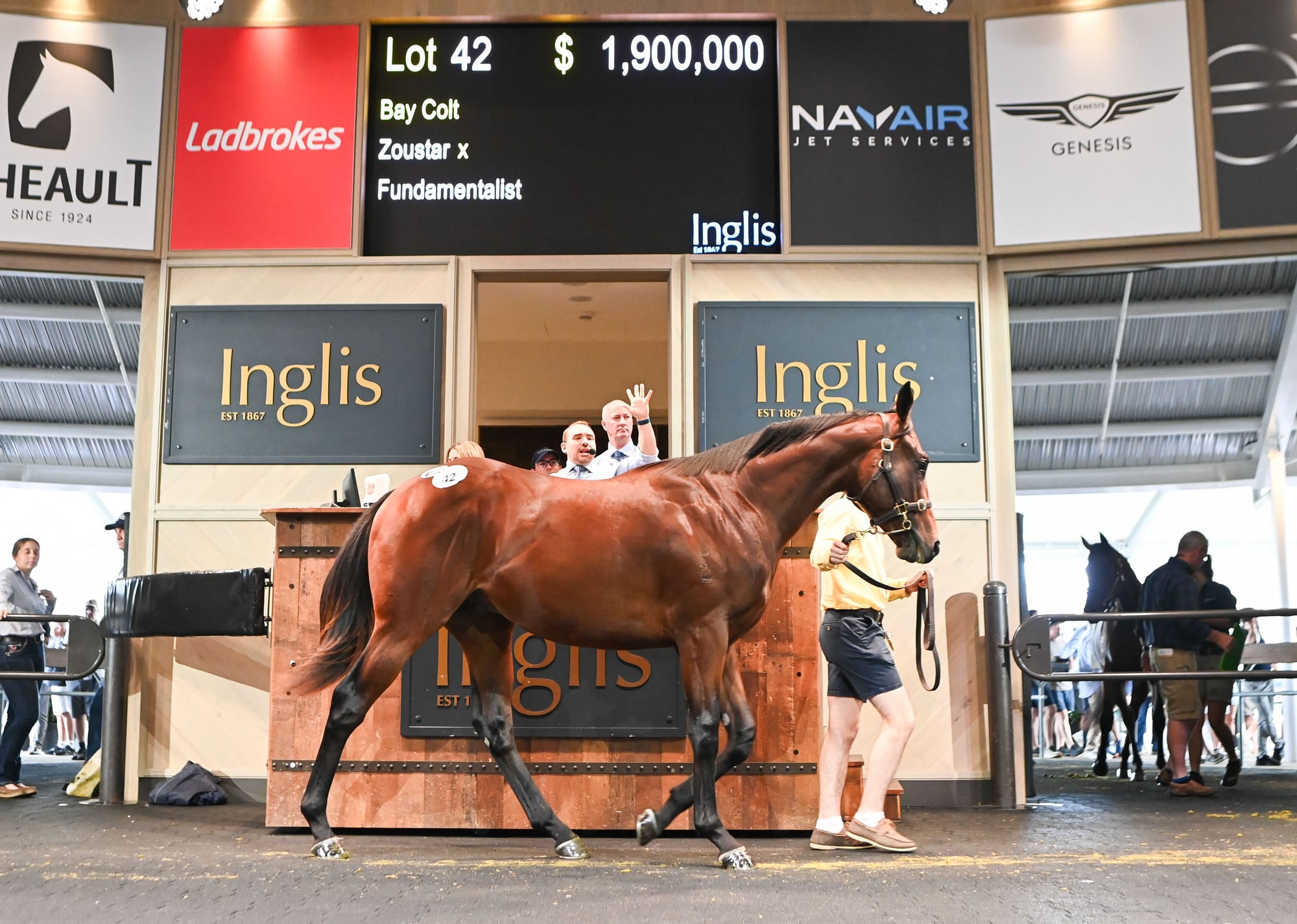 The colt by Zoustar out of Fundamentalist