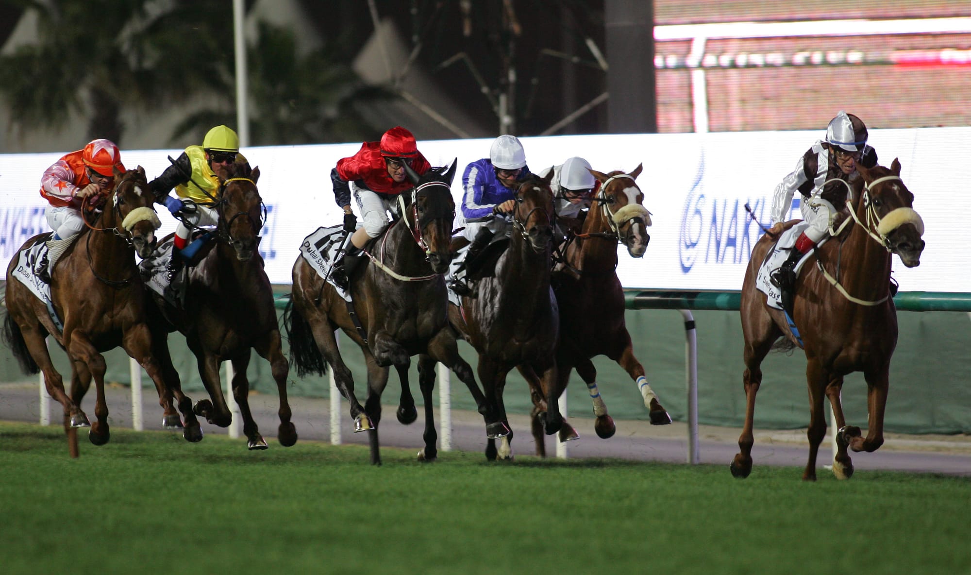 Sun Classique winning the 2008 Dubai Sheema Classic.