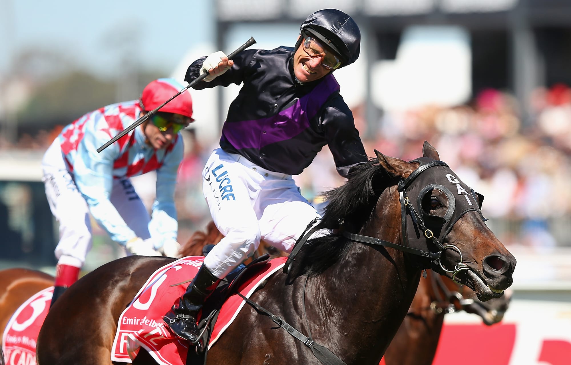 Fiorente winning the 2013 Melbourne Cup.