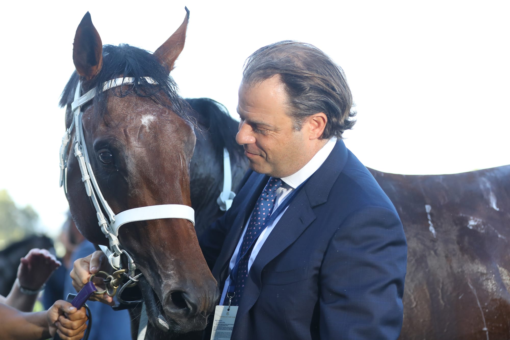 Tom Magnier with Shinzo.