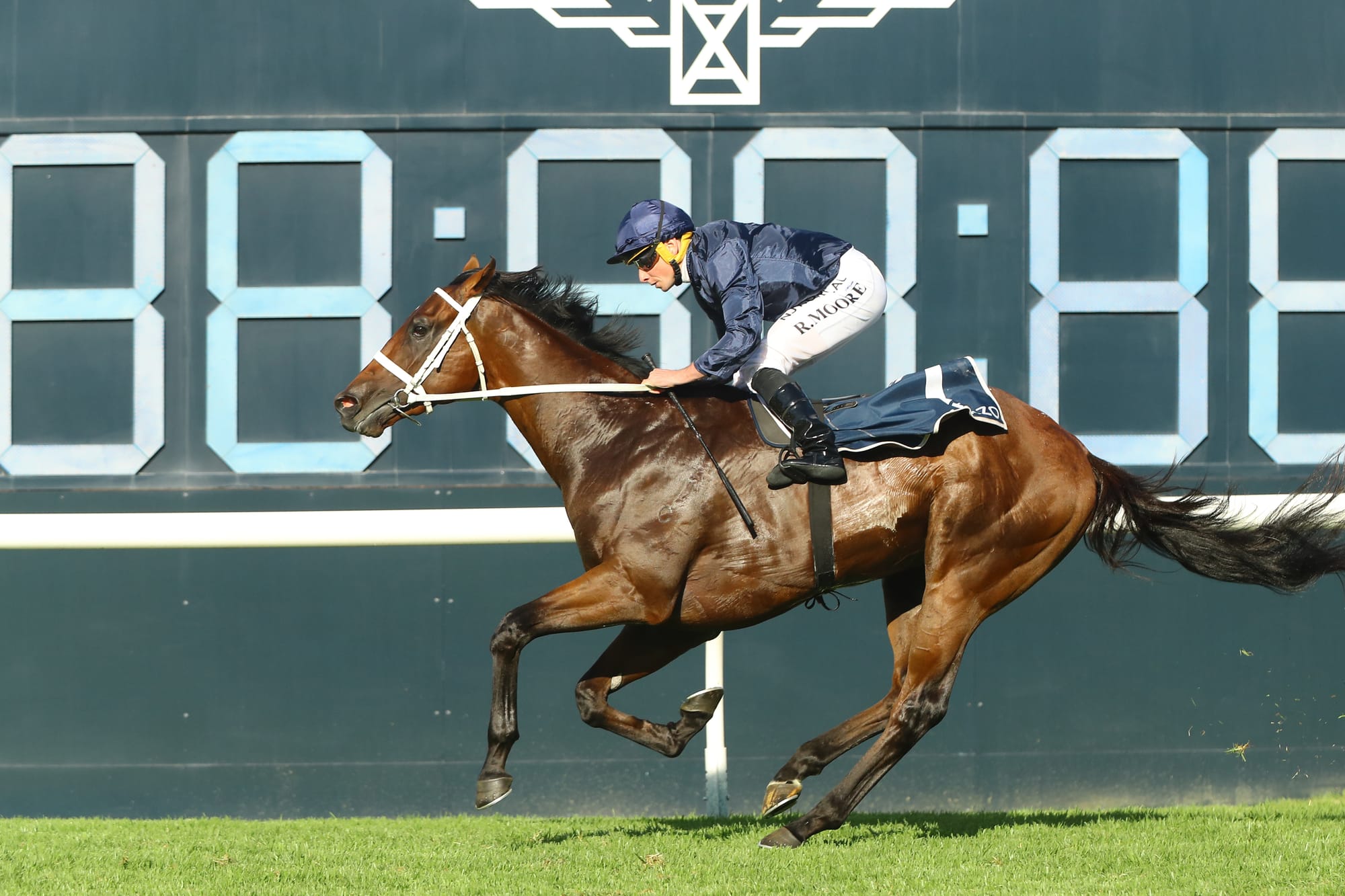Shinzo winning the 2023 Golden Slipper.