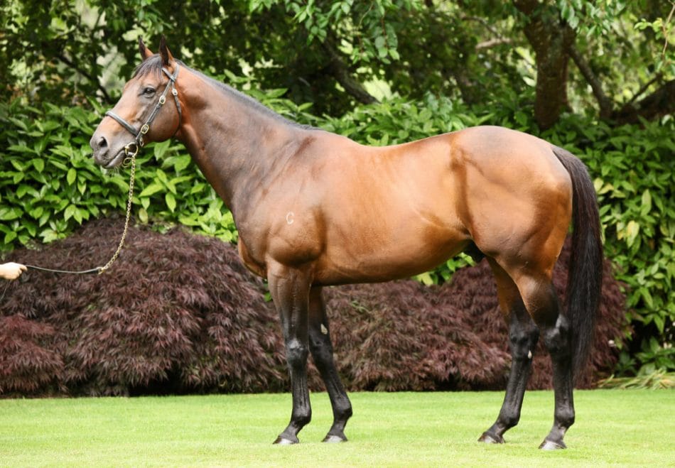 Fastnet Rock