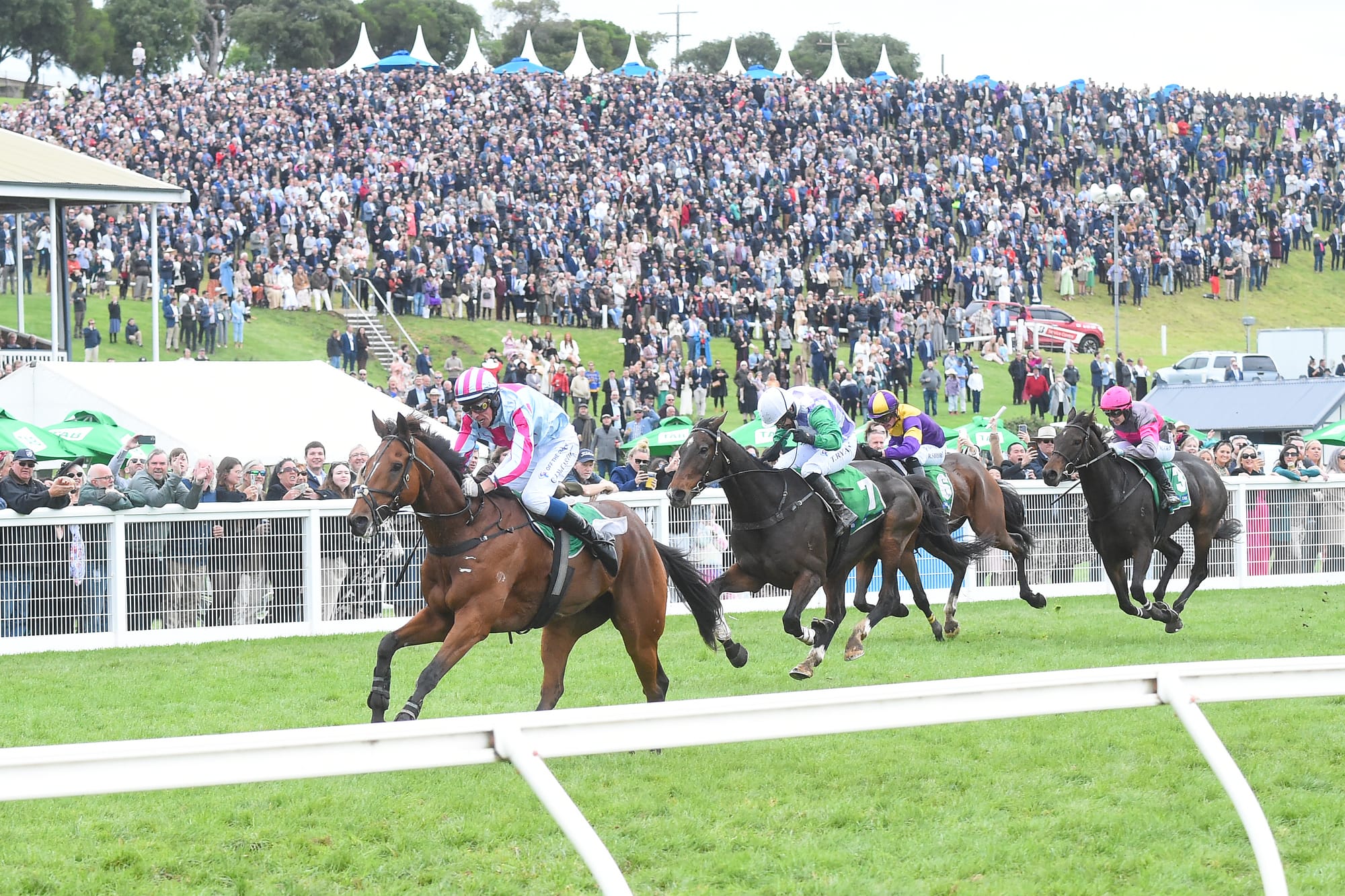 Rockstar Ronnie winning the 2023 Grand Annual at Warrnambool.