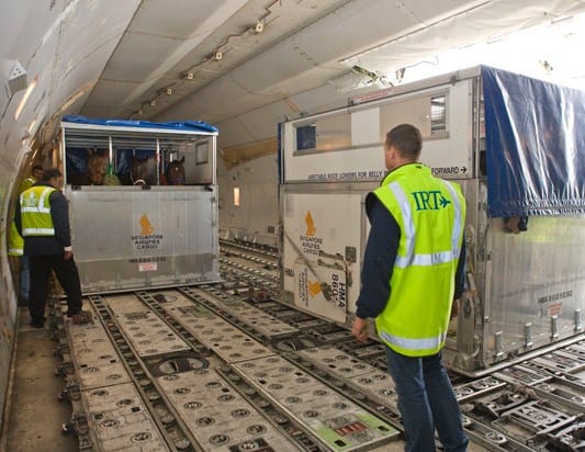 IRT and its equine cargo.