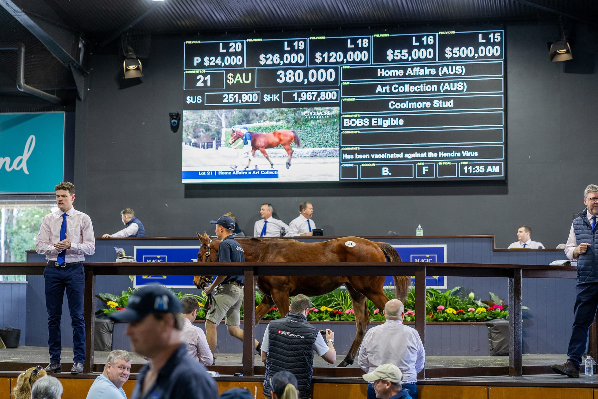 Lot 21, the filly by Home Affairs out of Art Collection