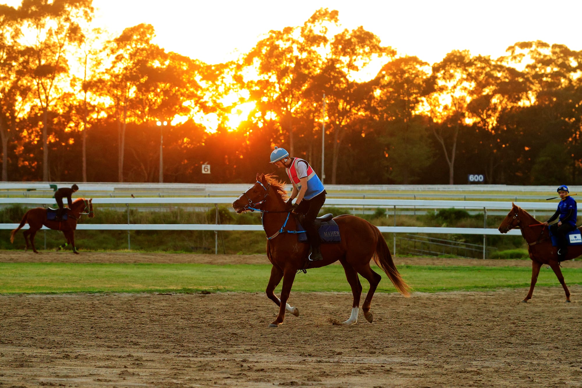 Trackwork at Warwick Farm