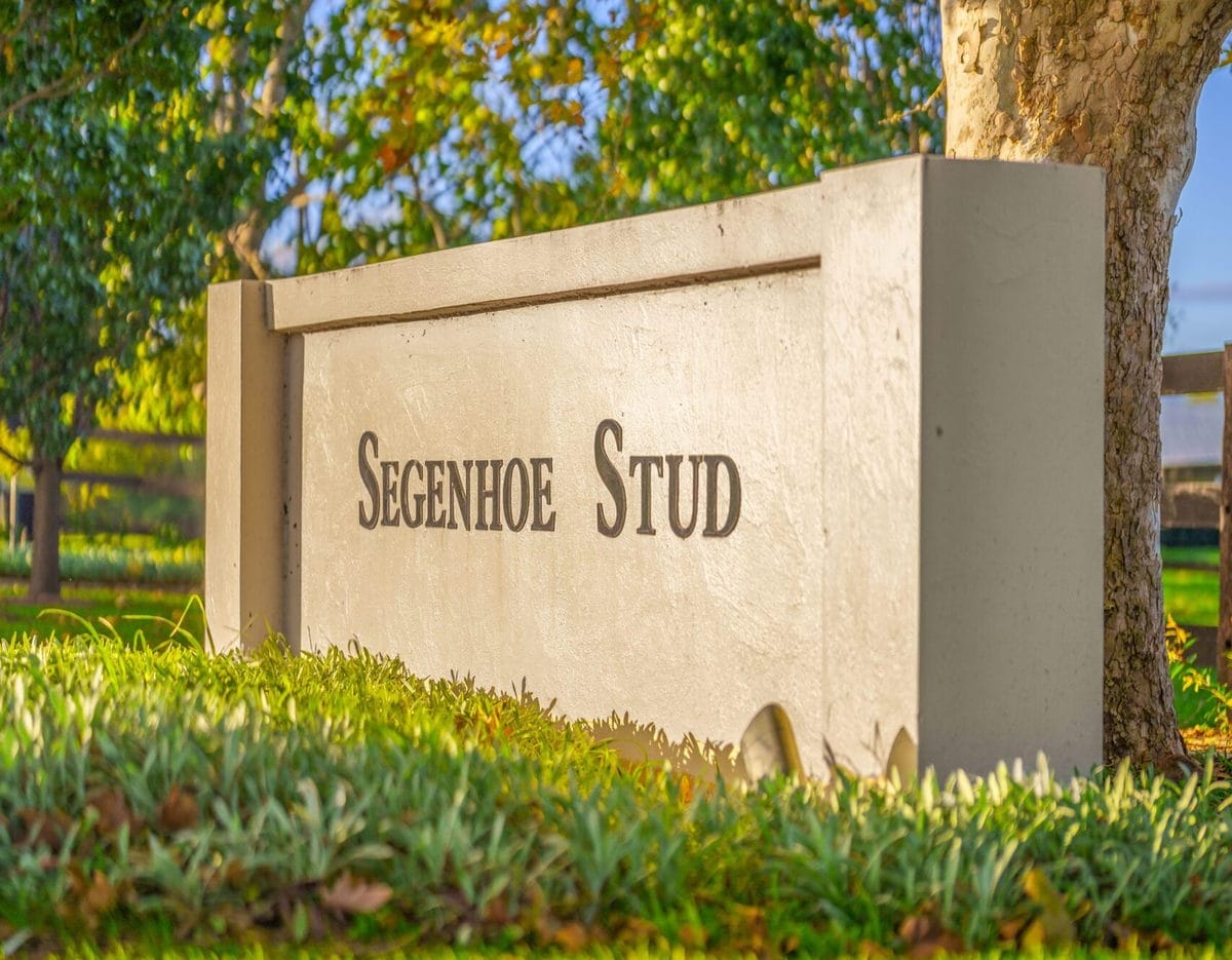 Segenhoe Stud