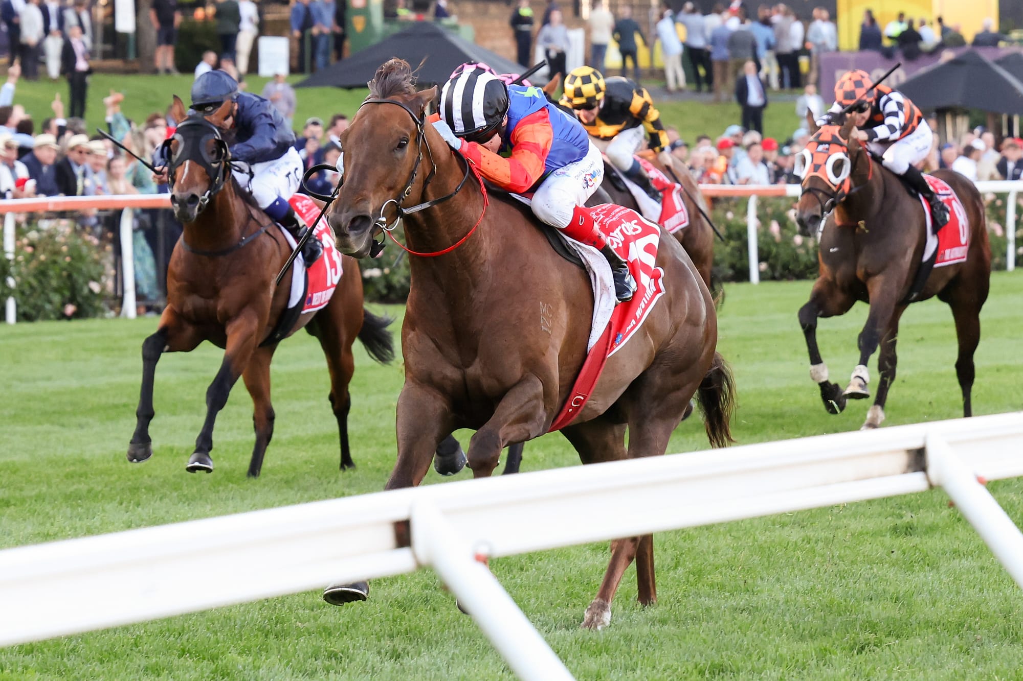Saturday Races Tracked - The Saturday Racing Review - June 29 – The Straight