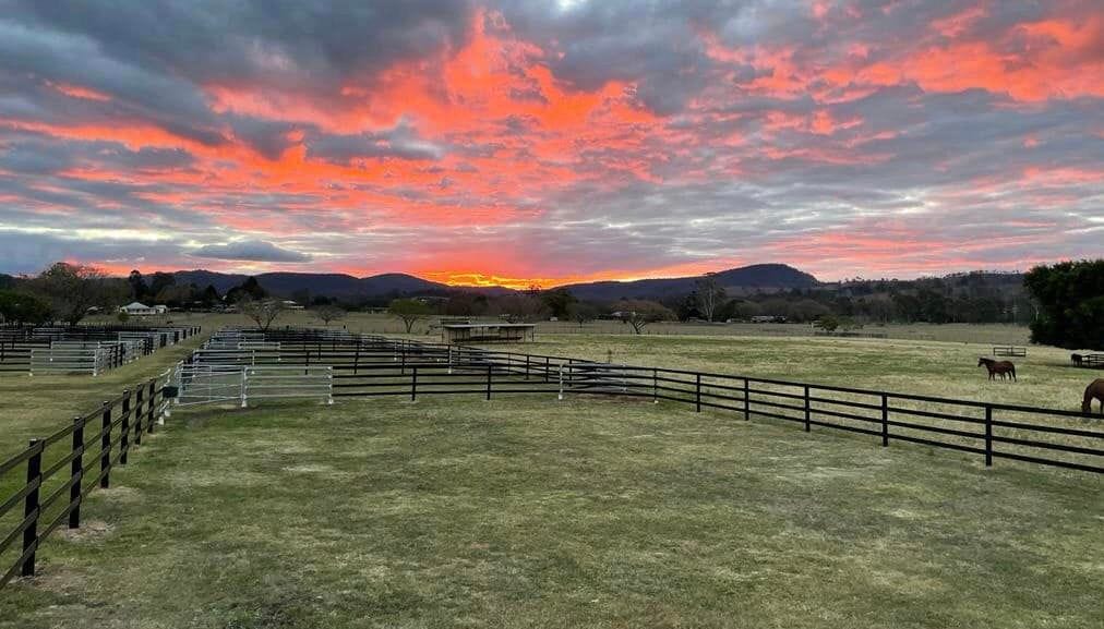 Telemon Thoroughbreds 