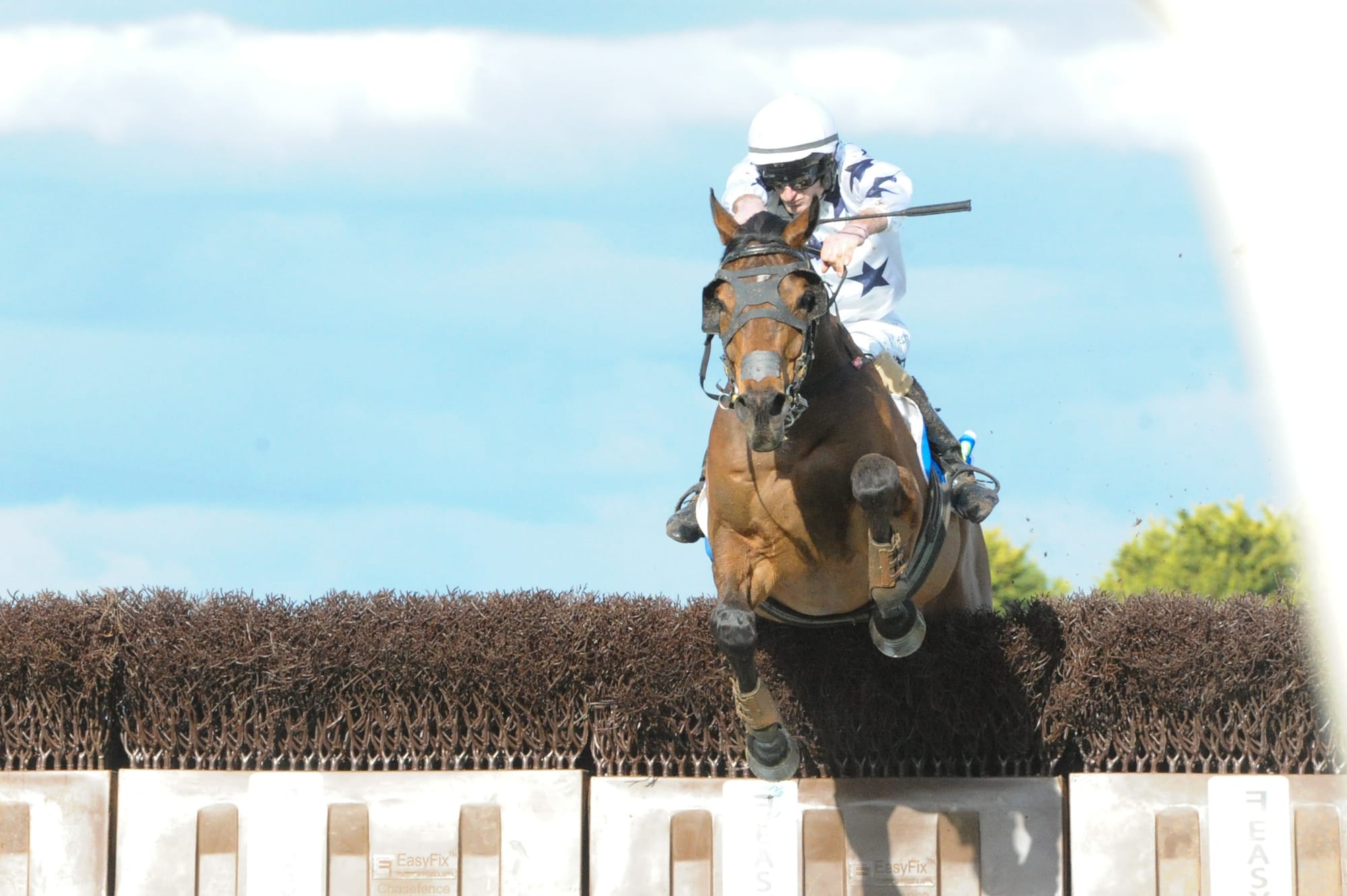 ‘Safety, integrity and sustainability’ - Racing Victoria’s new ...