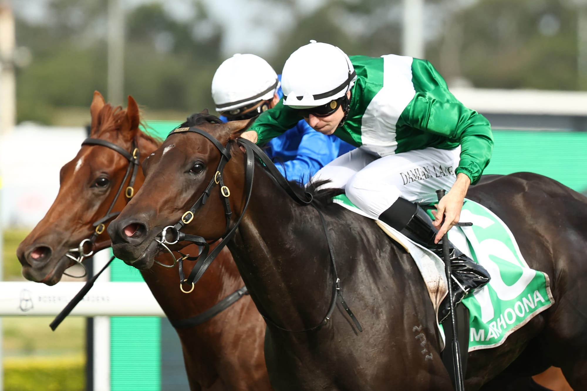 Marhoona is the third Golden Slipper winner for Emirates Park. (Photo: Photo by Jeremy Ng/Getty Images) 