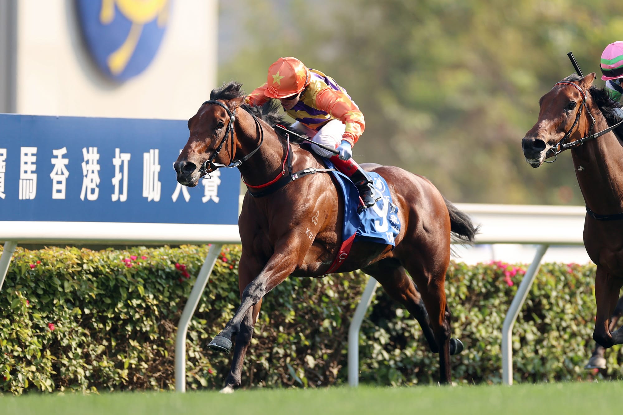 Hong Kong Derby