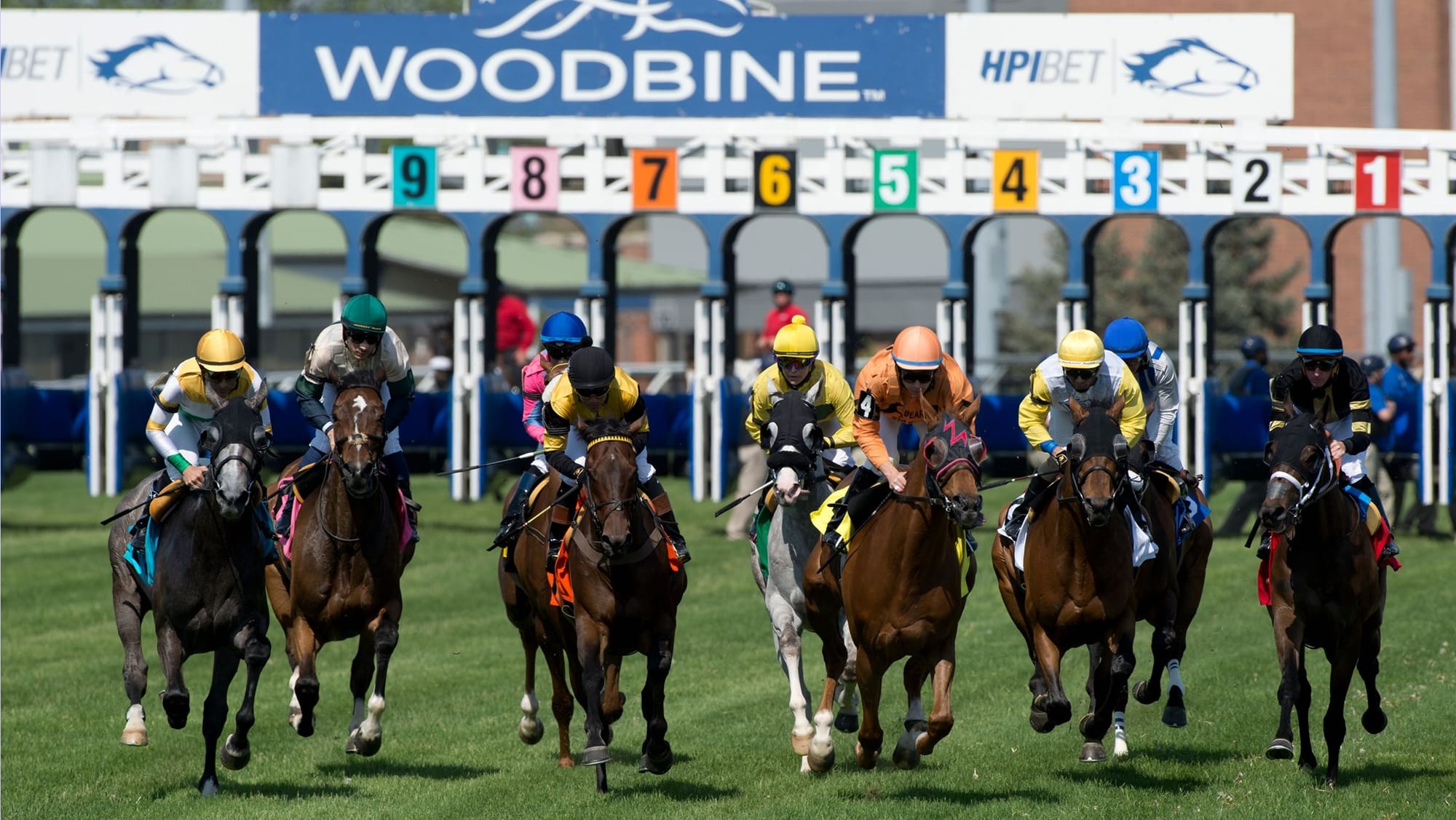 Stars and gripes - Canadian racing industry’s existential threat – The ...