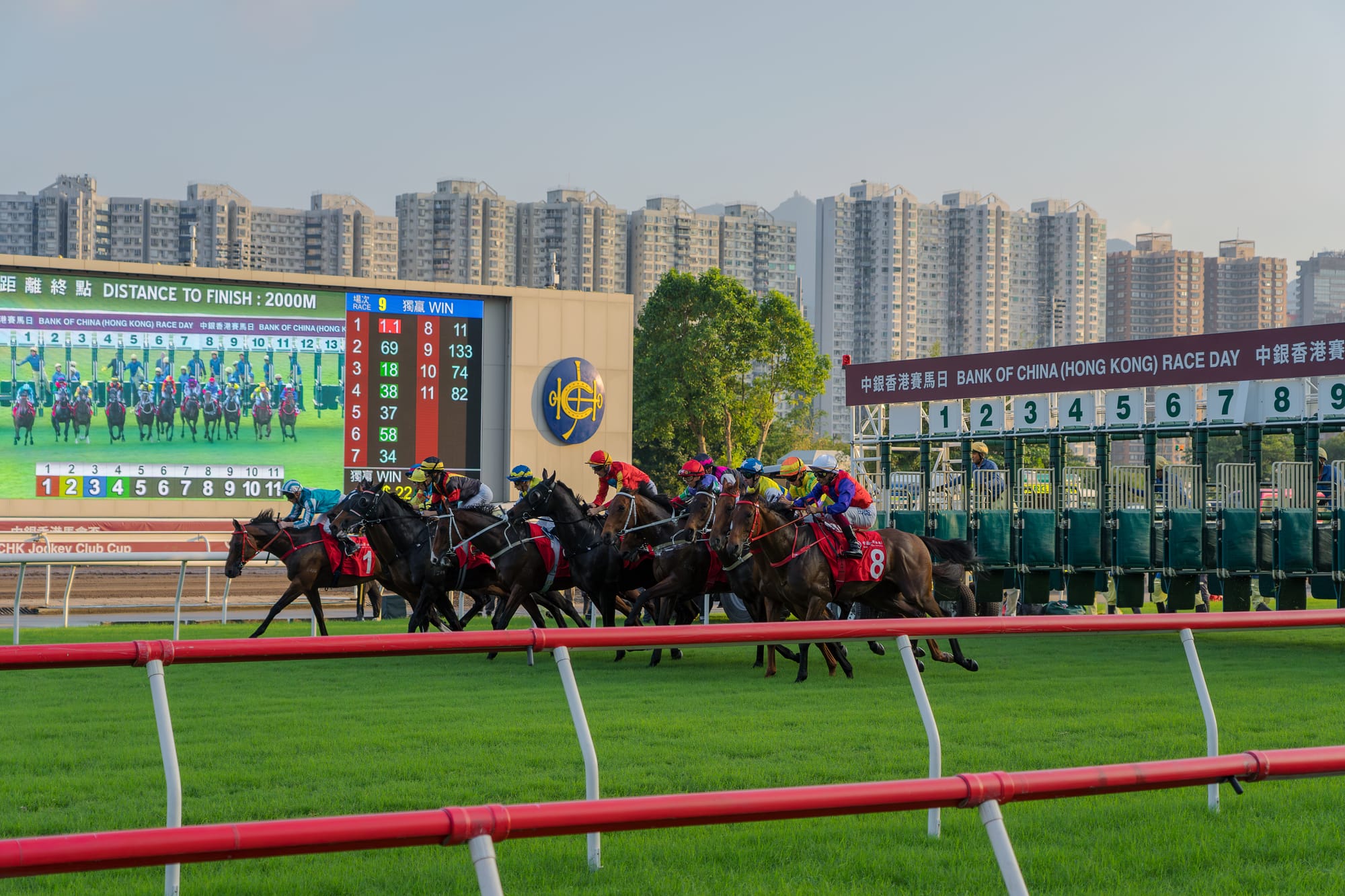 Hong Kong racing