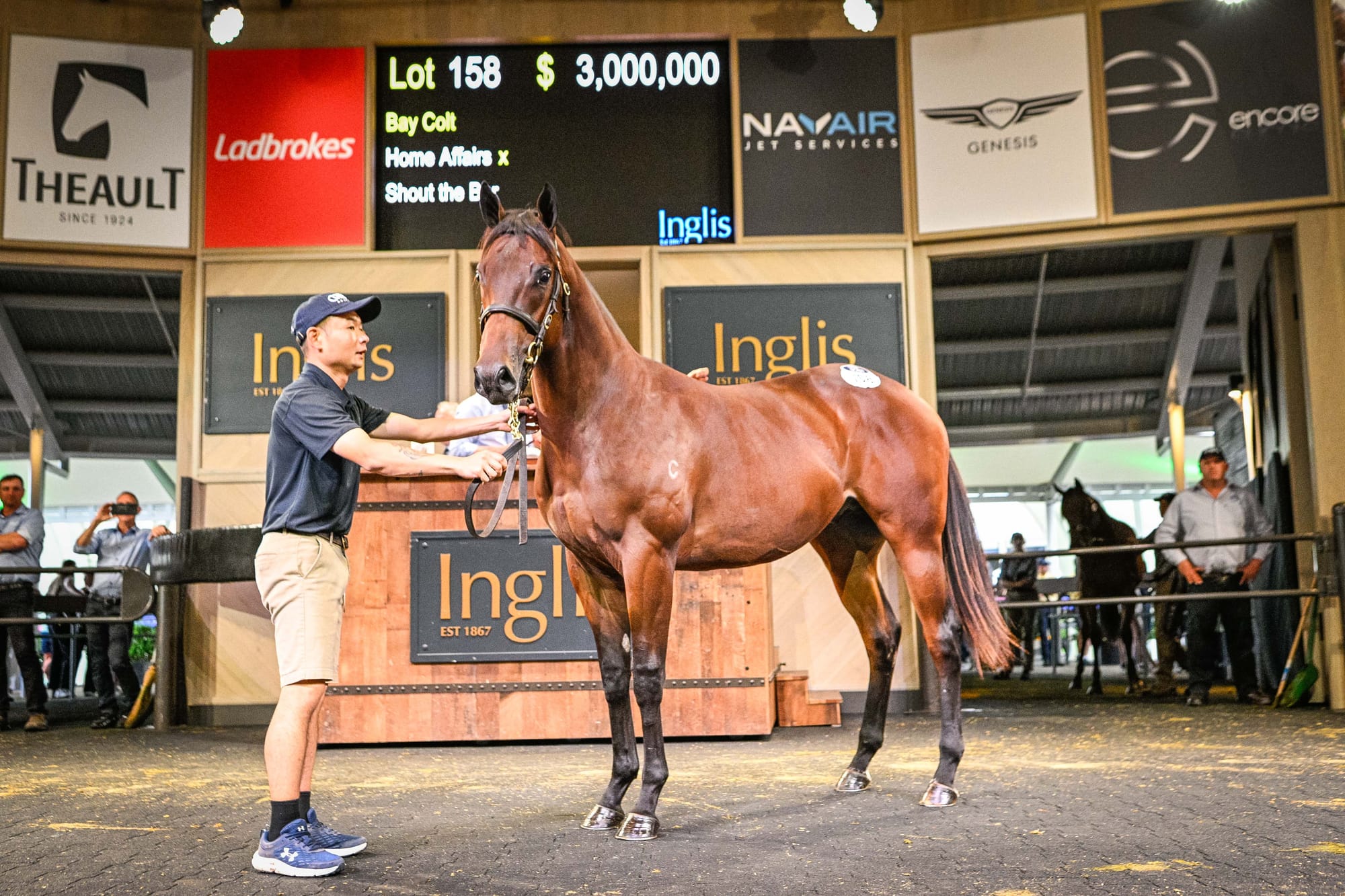 Home Affairs colt