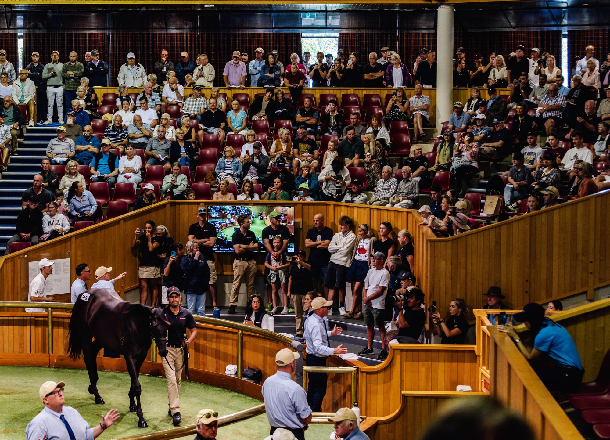 New Zealand Bloodstock's National Yearling Sale is set for a change. 