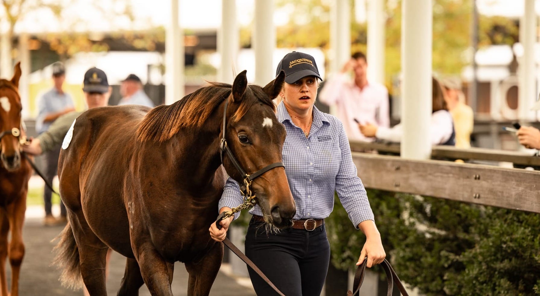 sister of Too Darn Lizzie