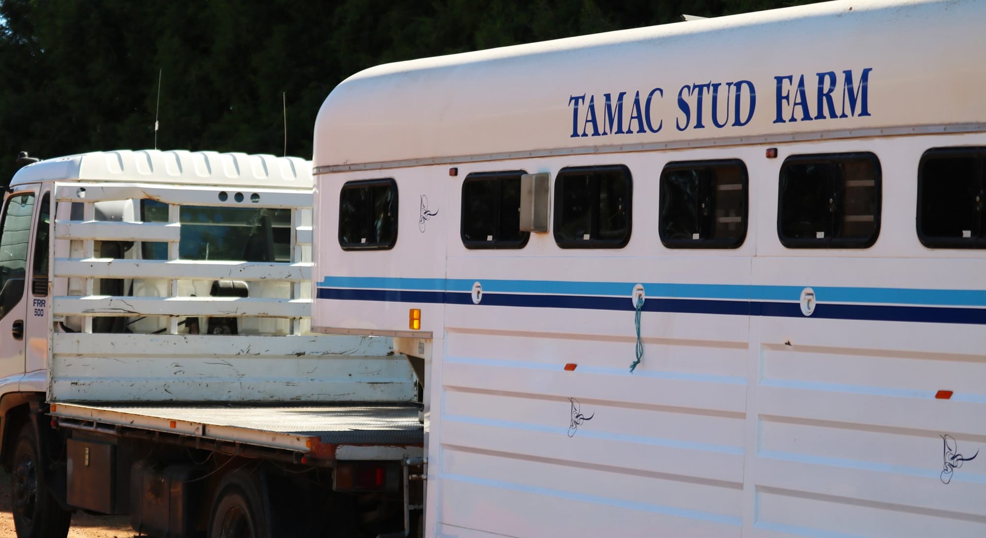 Tamac Stud Farm