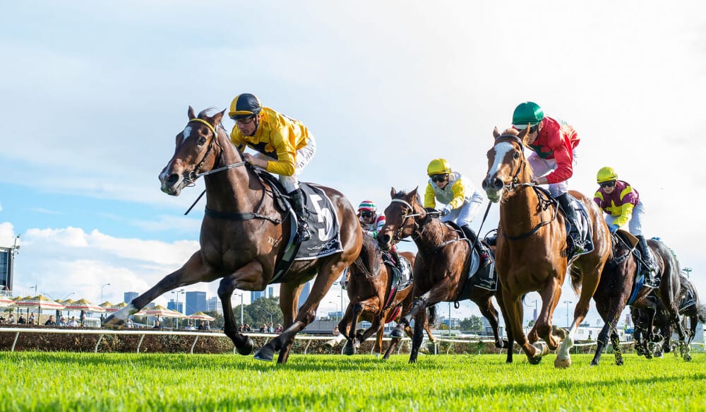 Saturday's Belmont meeting