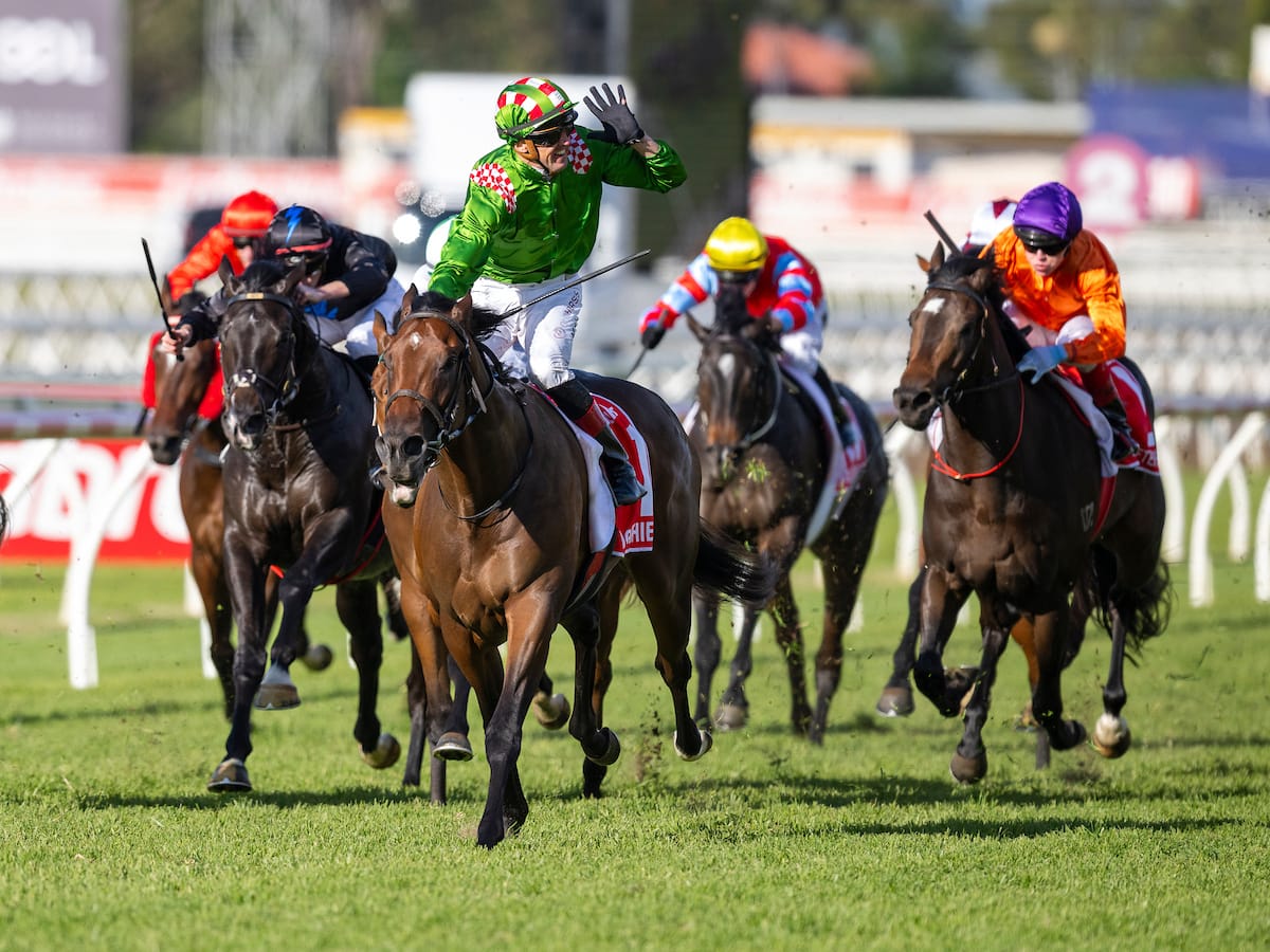Run The Numbers Run The Numbers - A Cool reminder of Zabeel’s influence – The Straight