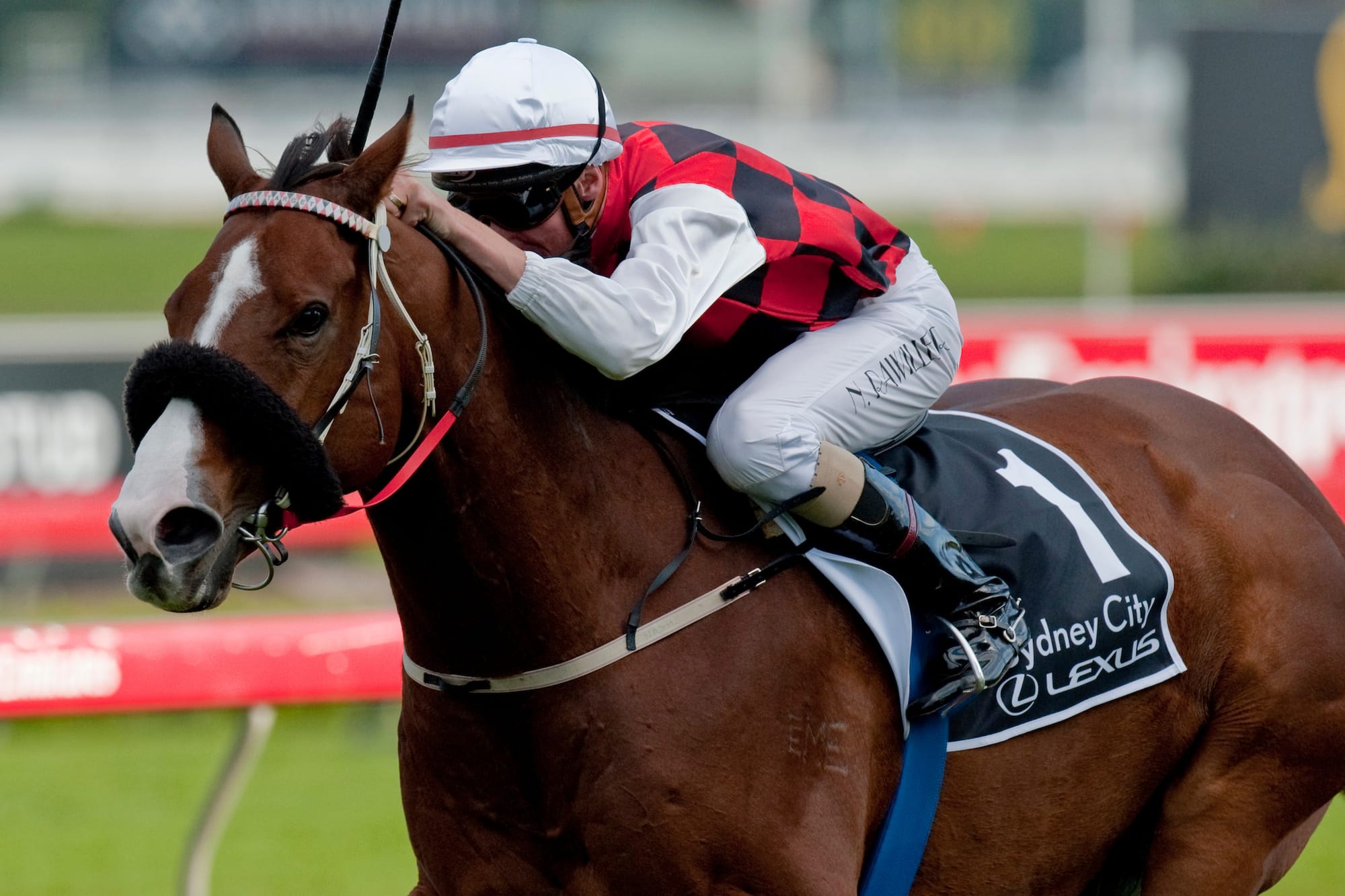 Takeover Target