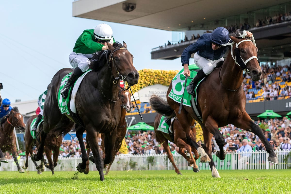 Two-year-old racing