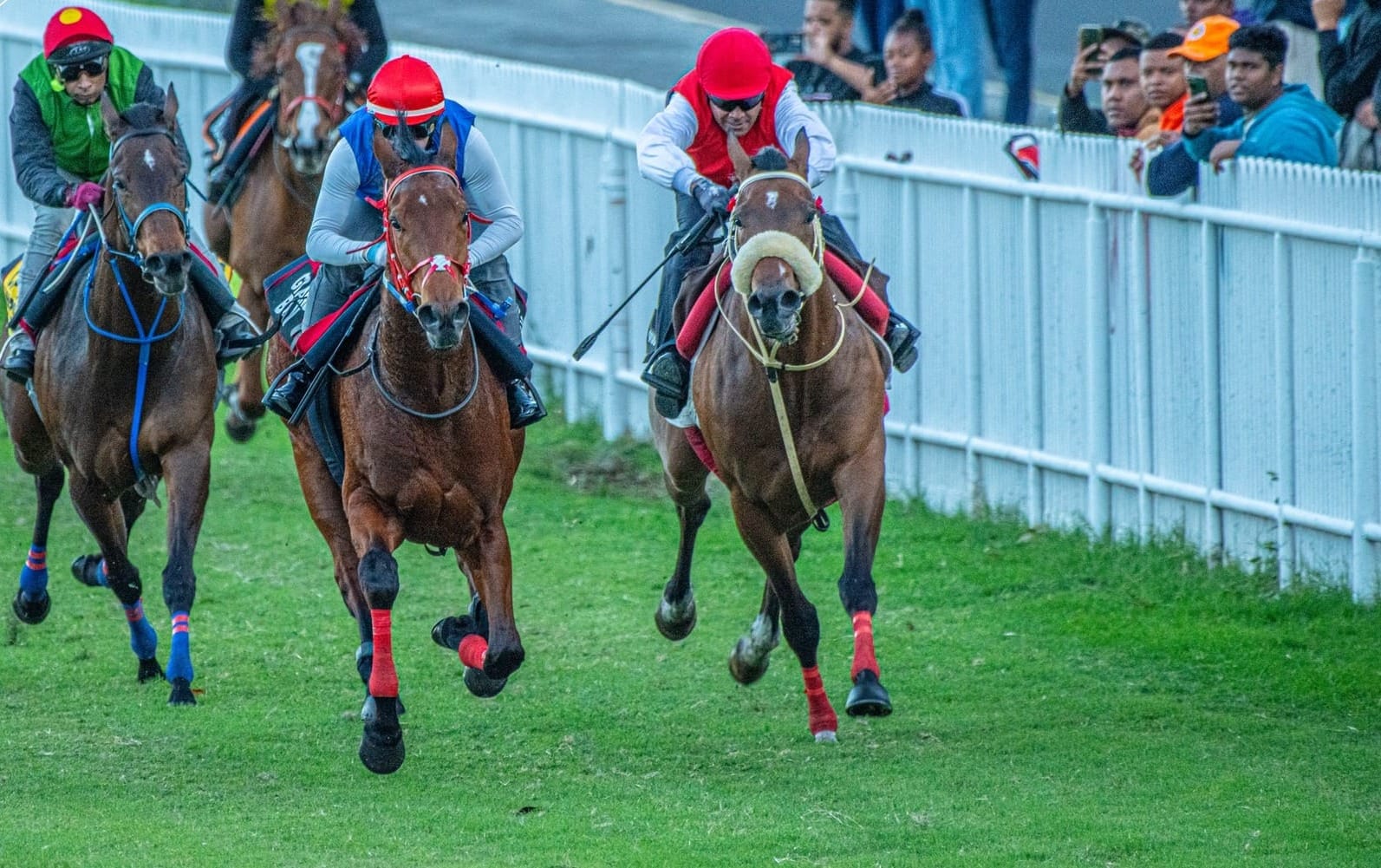 HORSE RACE モンチッチ 2体 レーシングホース HORSE RACE モンチッチ 2