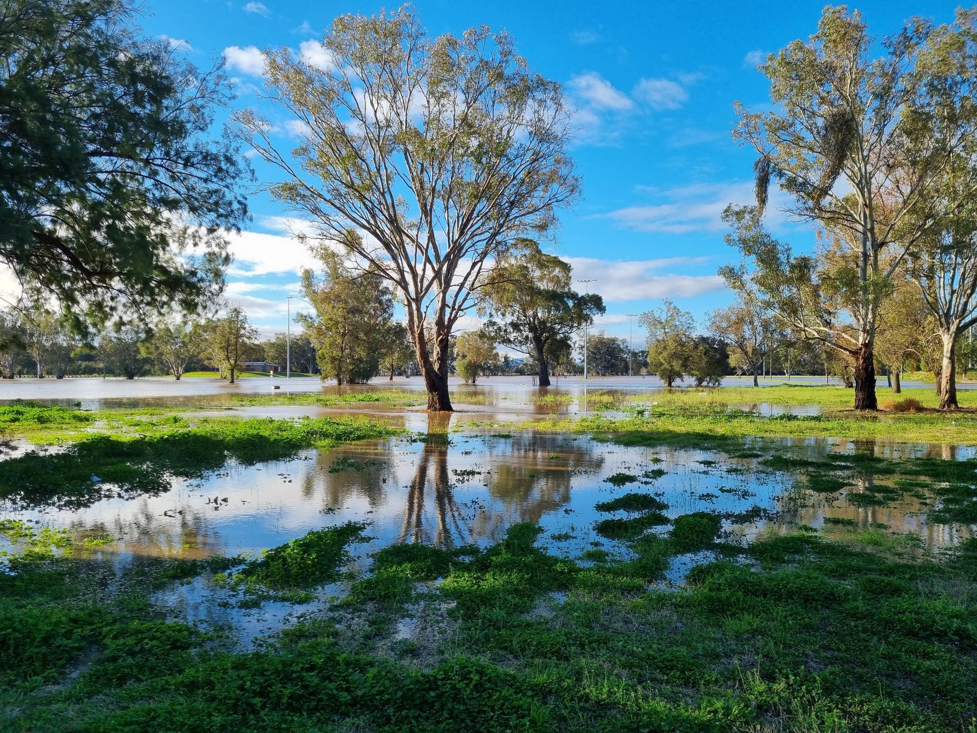 Flooding at Gunnedah 