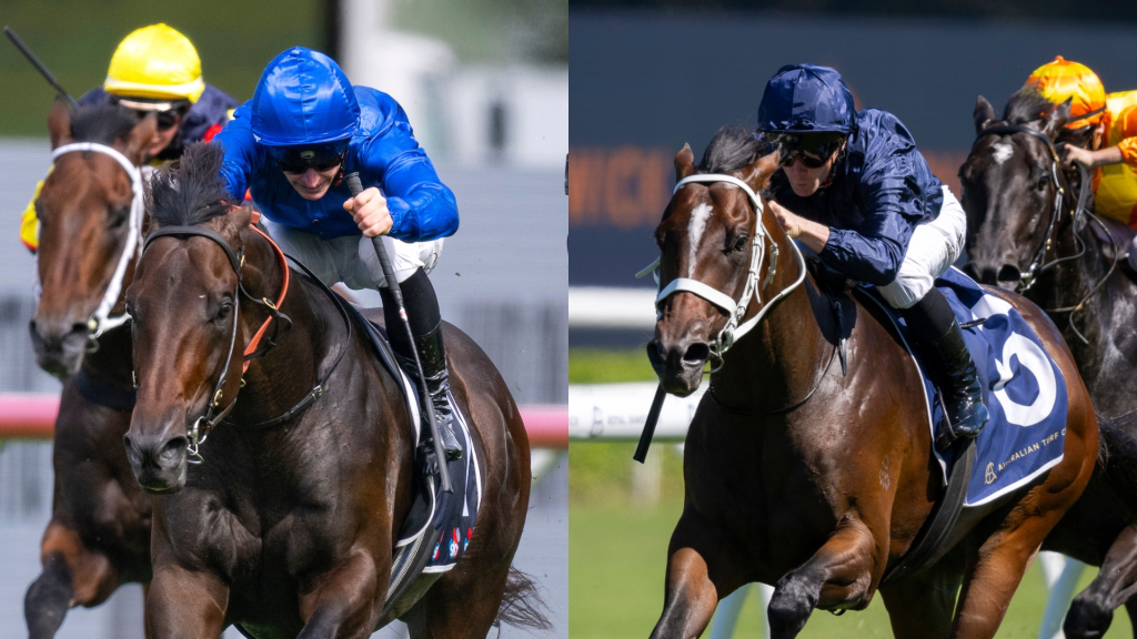 Run The Numbers Run The Numbers – Banking a book to start your stud career – The Straight