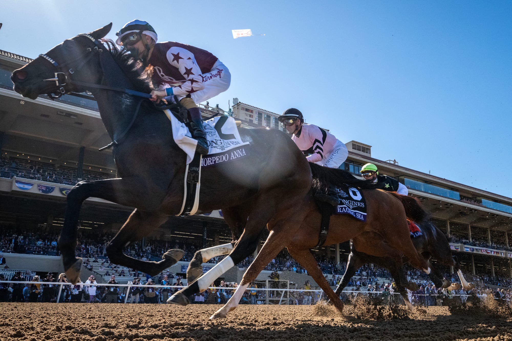 Brookdale sells its share in US Horse of the Year Thorpedo Anna – The  Straight