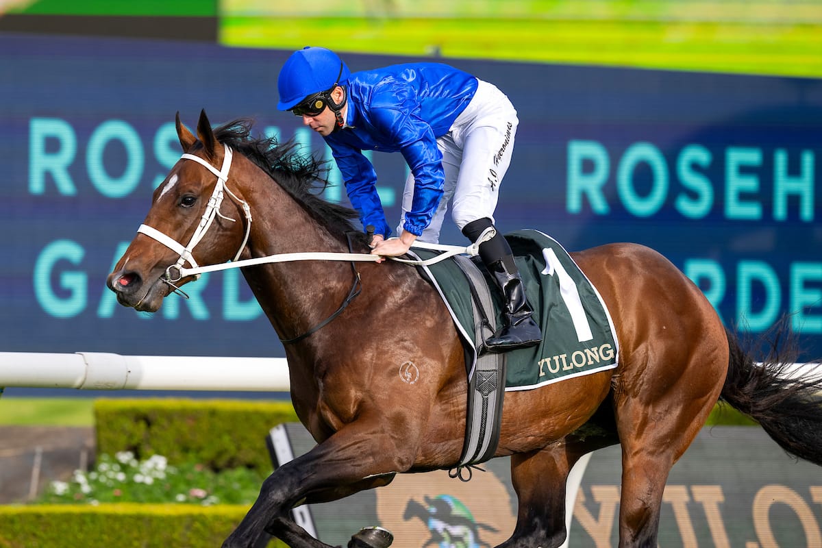 Run The Numbers  The stallion-making trainer in the stallion-making race   The Straight