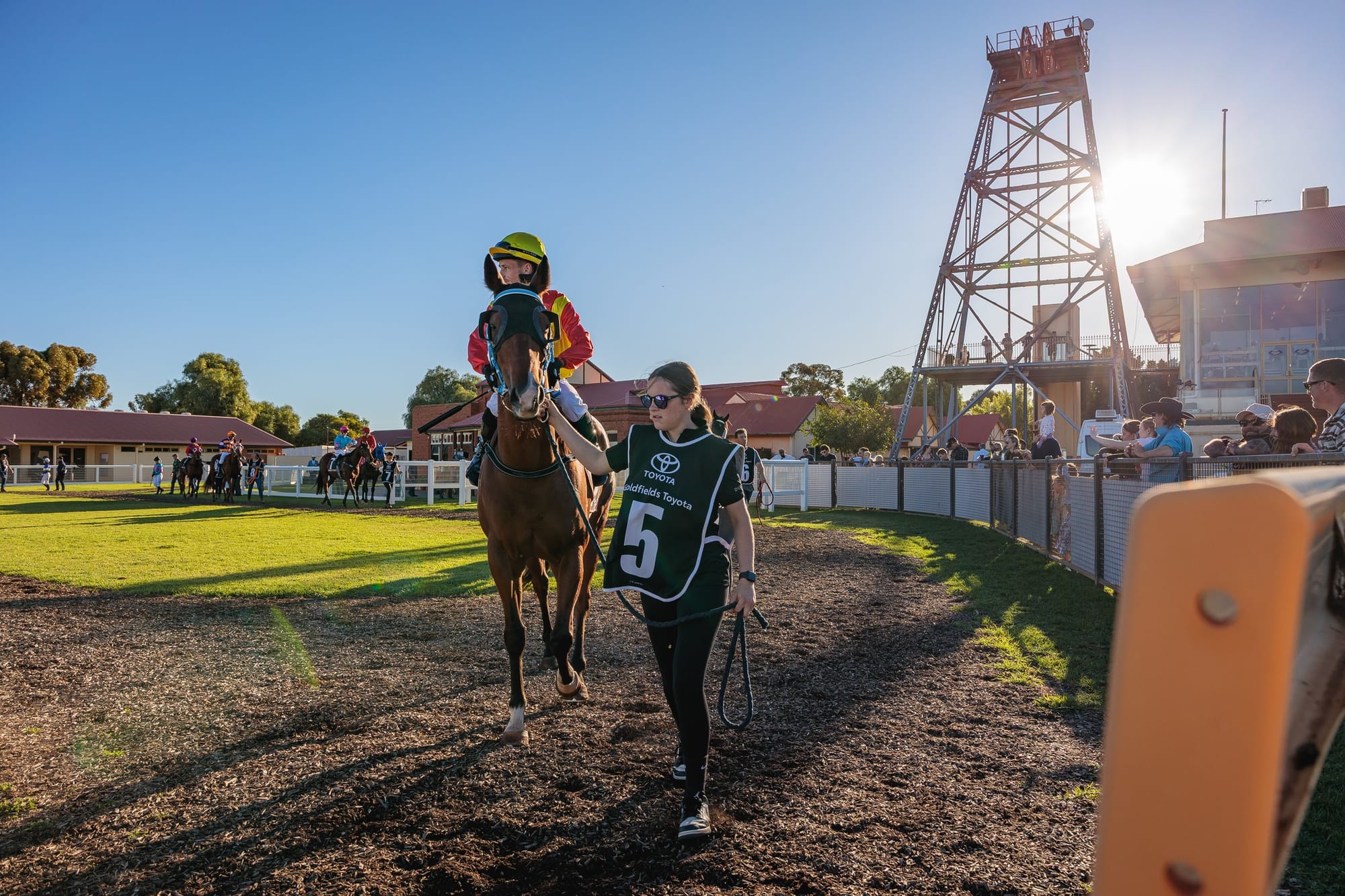 Kalgoorlie Races The Straight Daily News - Racing NSW-breeders divide remains ...